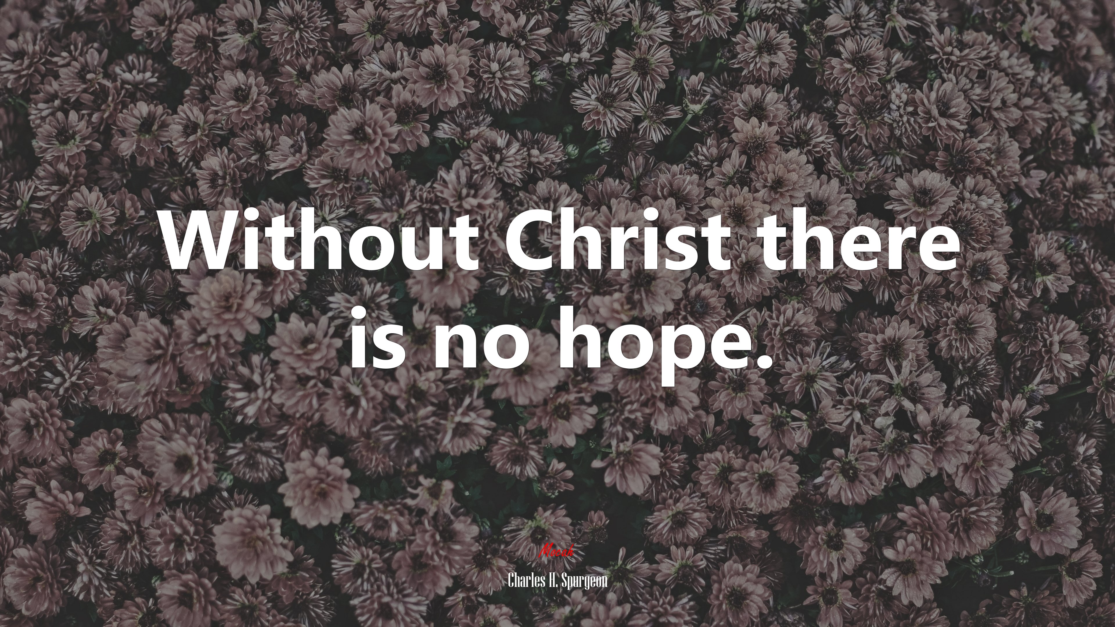 Without Christ there is no hope. | Charles H. Spurgeon quote HD Wallpaper