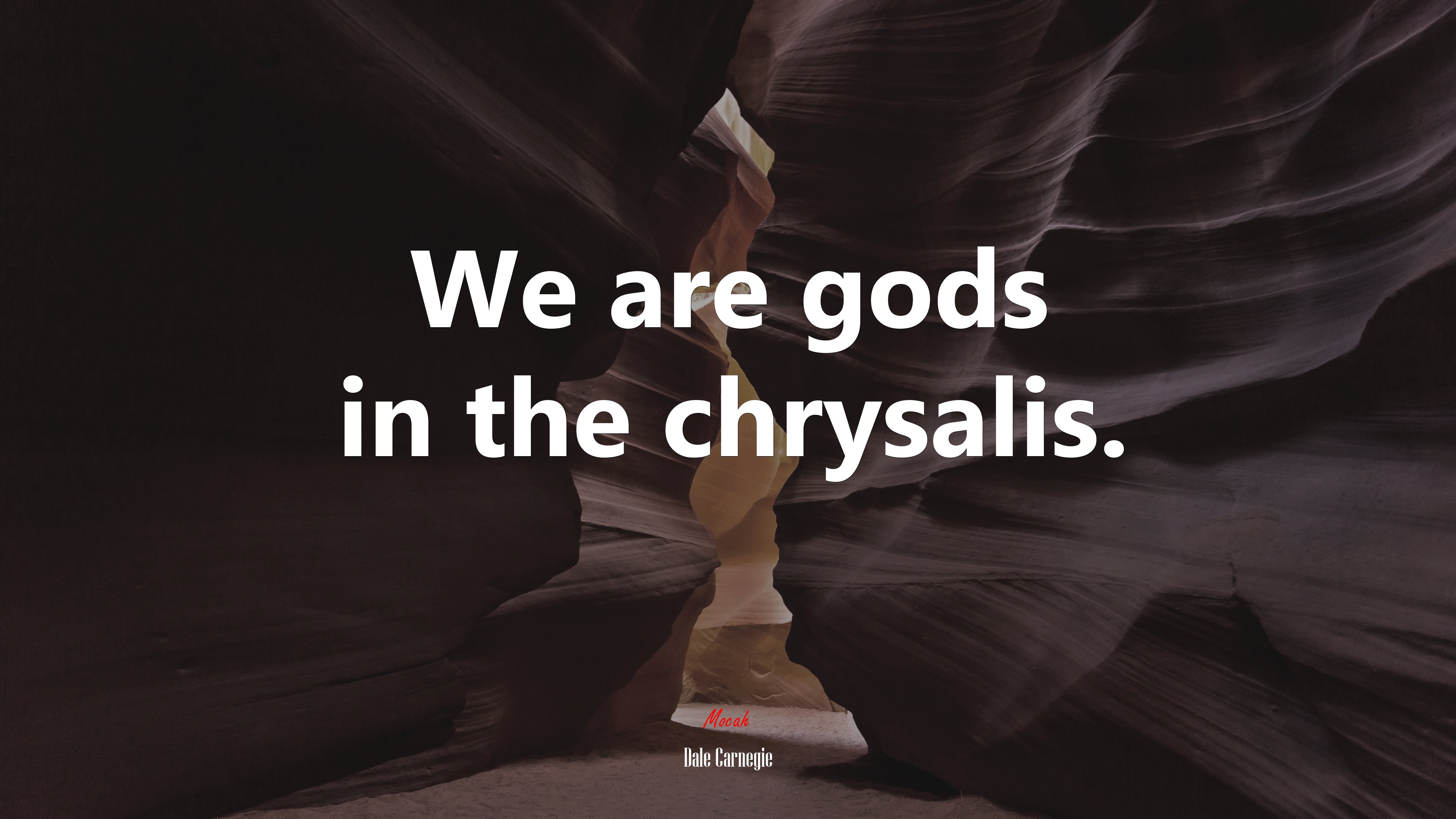 We are gods in the chrysalis. | Dale Carnegie quote HD Wallpaper