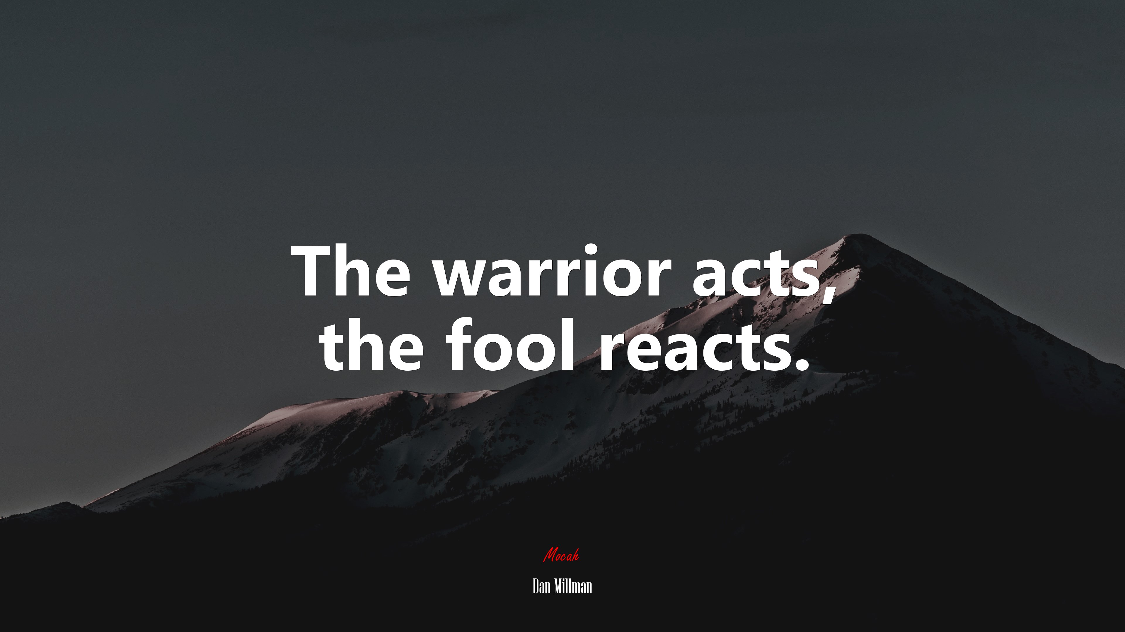 The warrior acts, the fool reacts. | Dan Millman quote HD Wallpaper