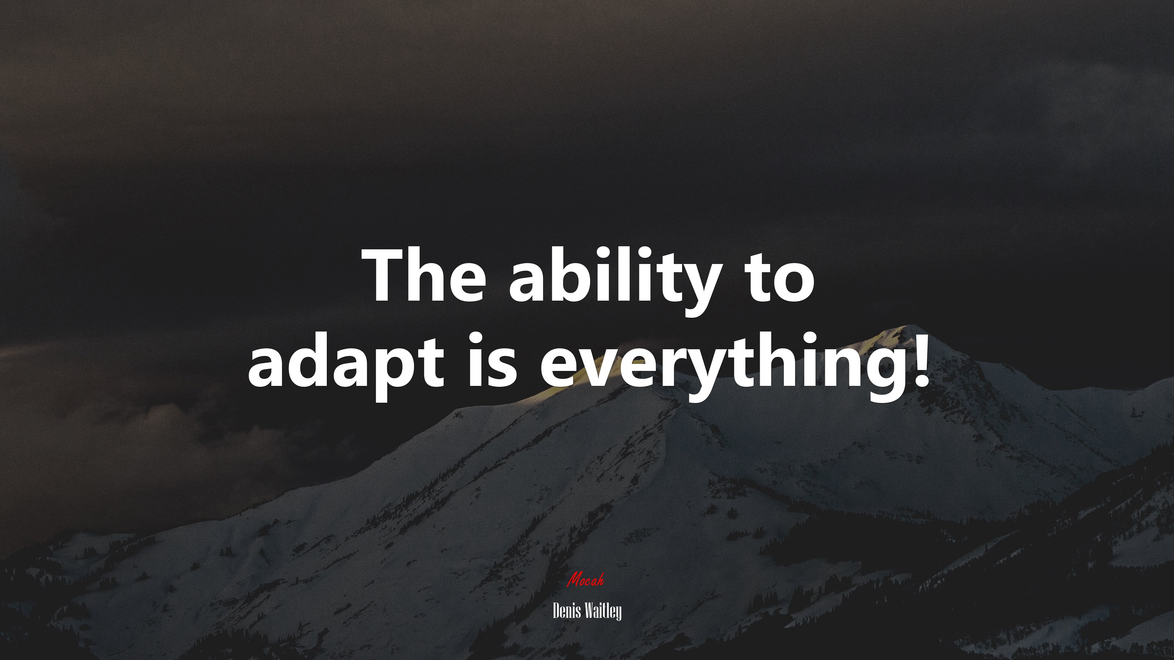 The ability to adapt is everything! | Denis Waitley quote HD Wallpaper