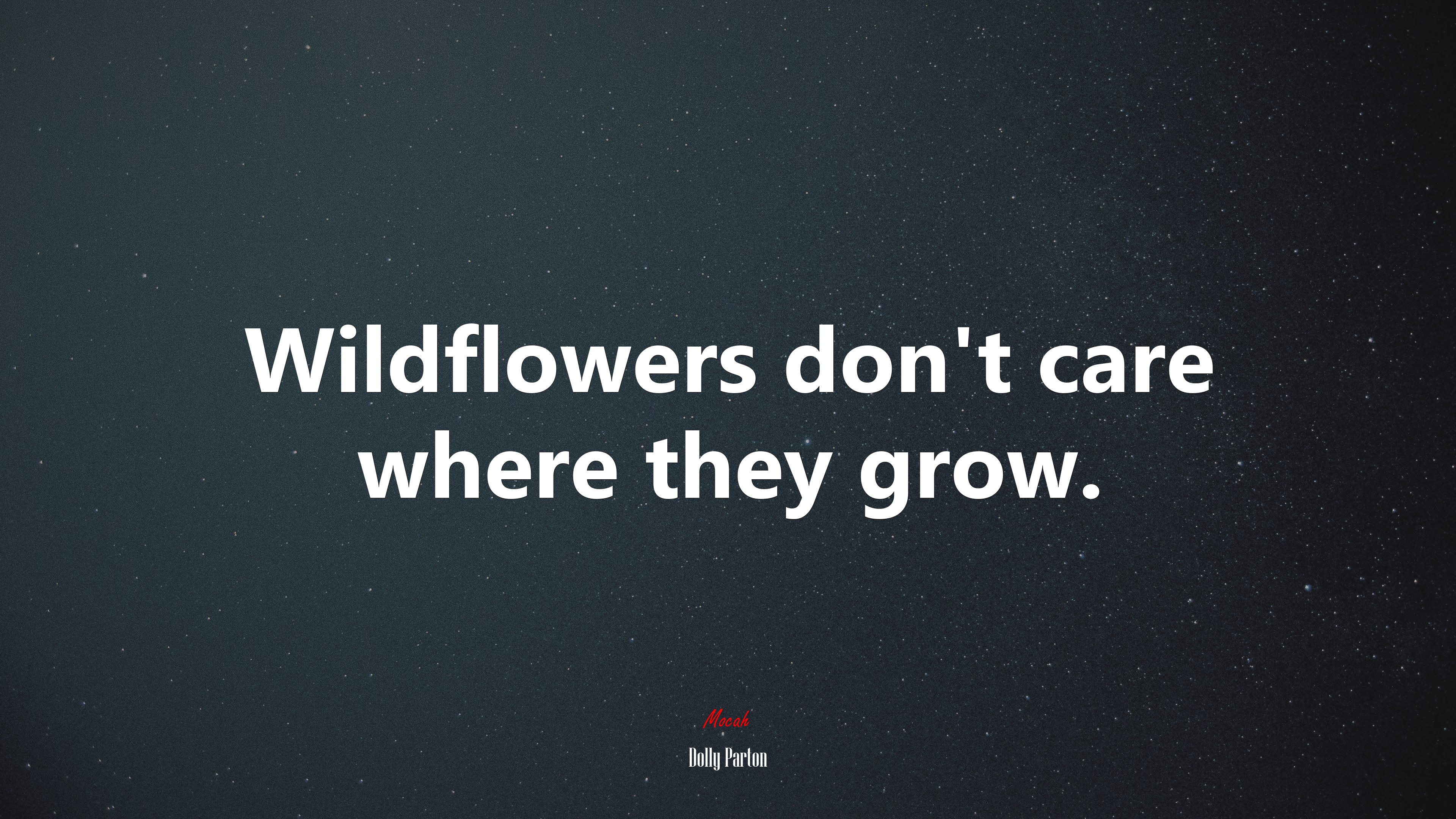Wildflowers don’t care where they grow. | Dolly Parton quote HD Wallpaper