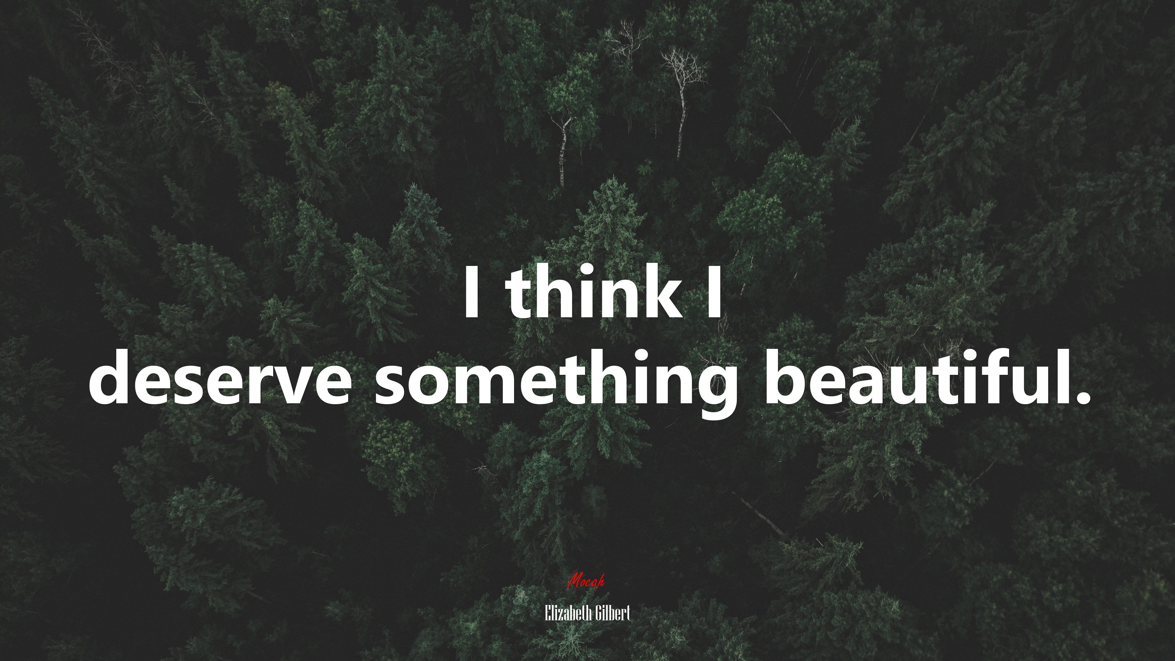 I think I deserve something beautiful. | Elizabeth Gilbert quote HD Wallpaper