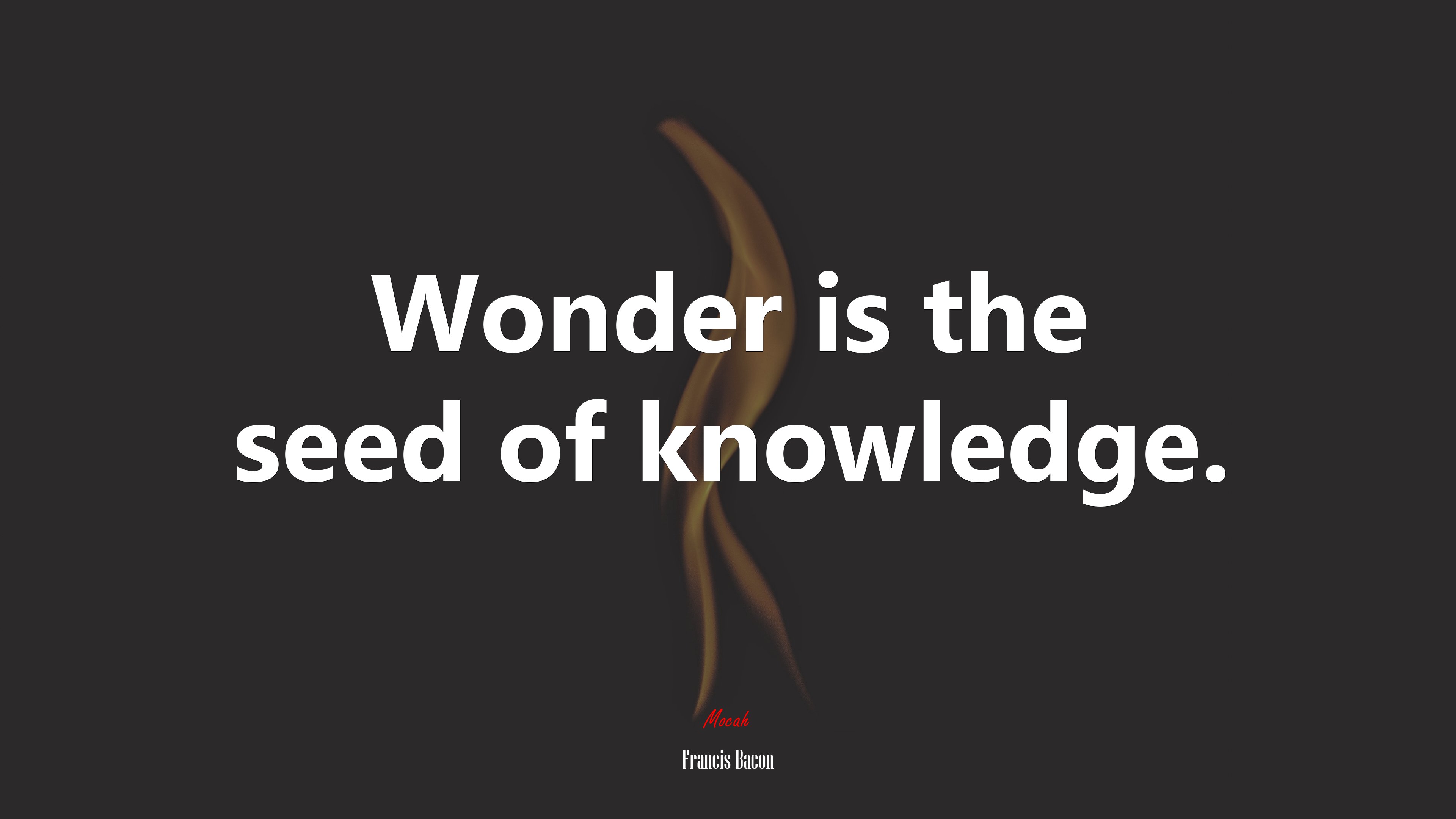 Wonder is the seed of knowledge. | Francis Bacon quote HD Wallpaper
