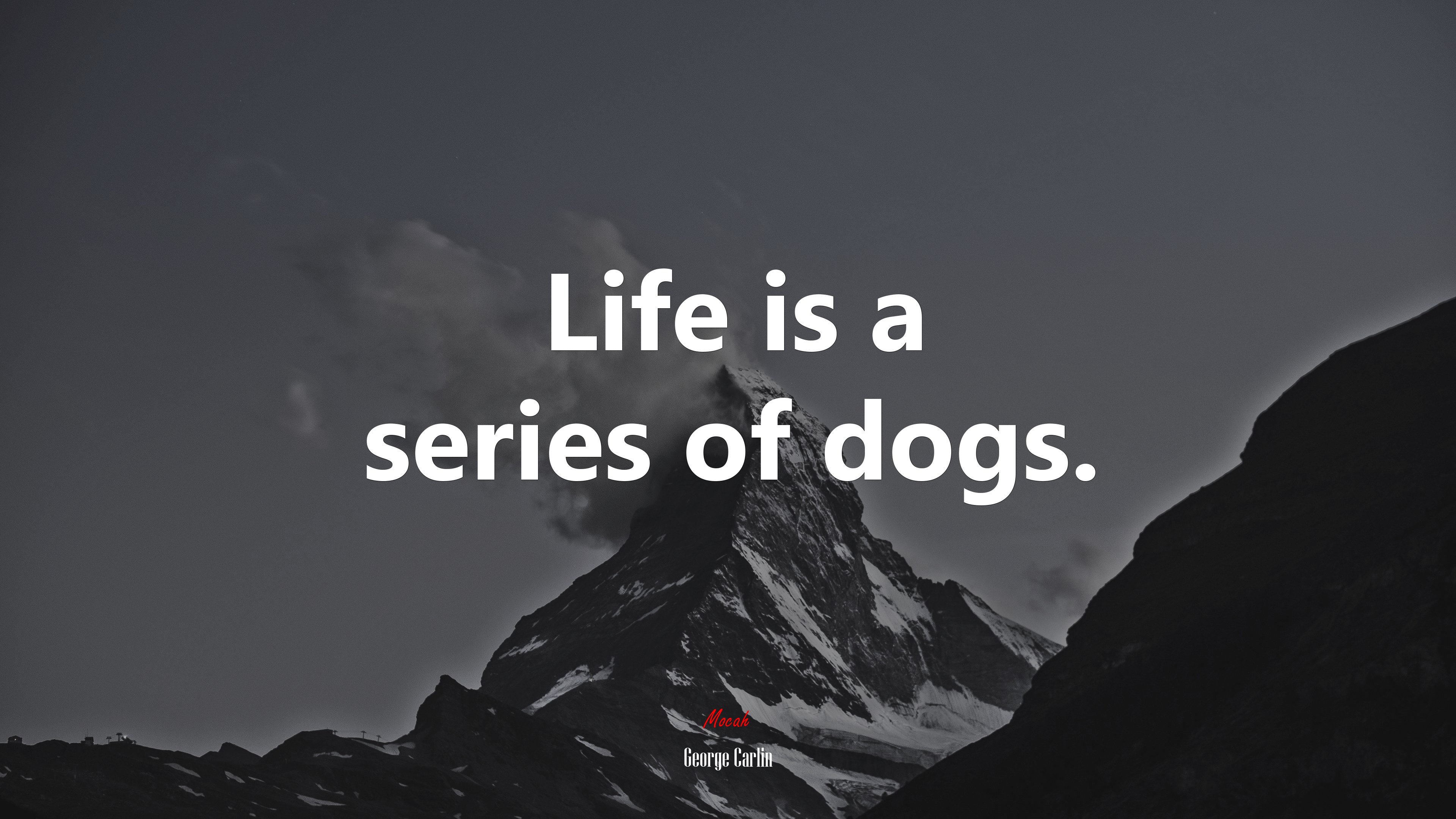 Life is a series of dogs. | George Carlin quote HD Wallpaper
