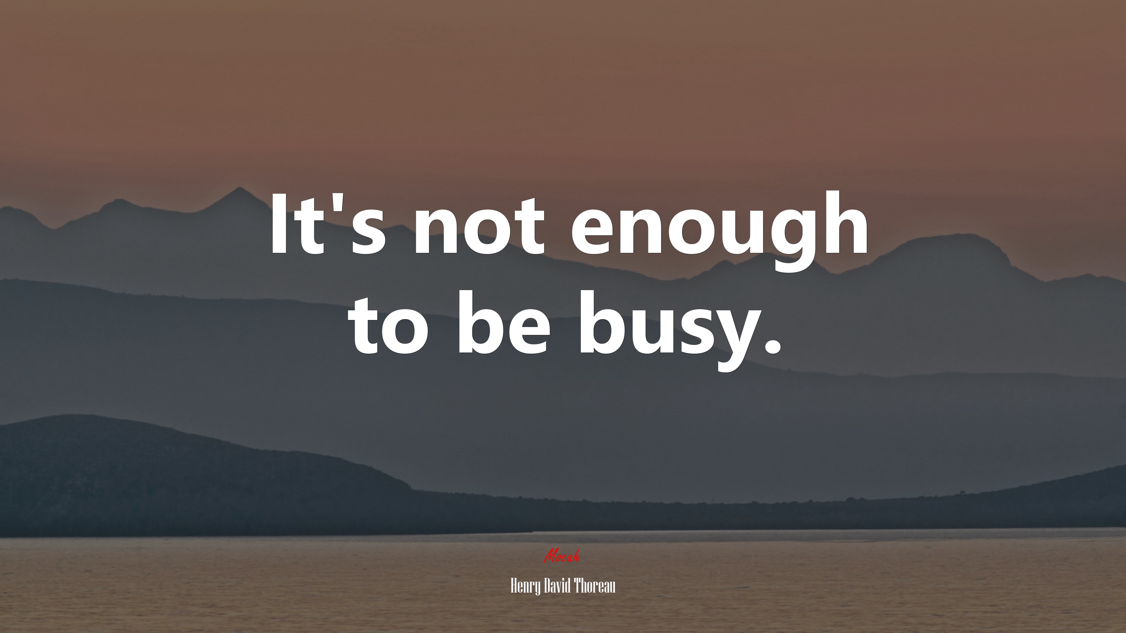 It’s not enough to be busy. | Henry David Thoreau quote HD Wallpaper