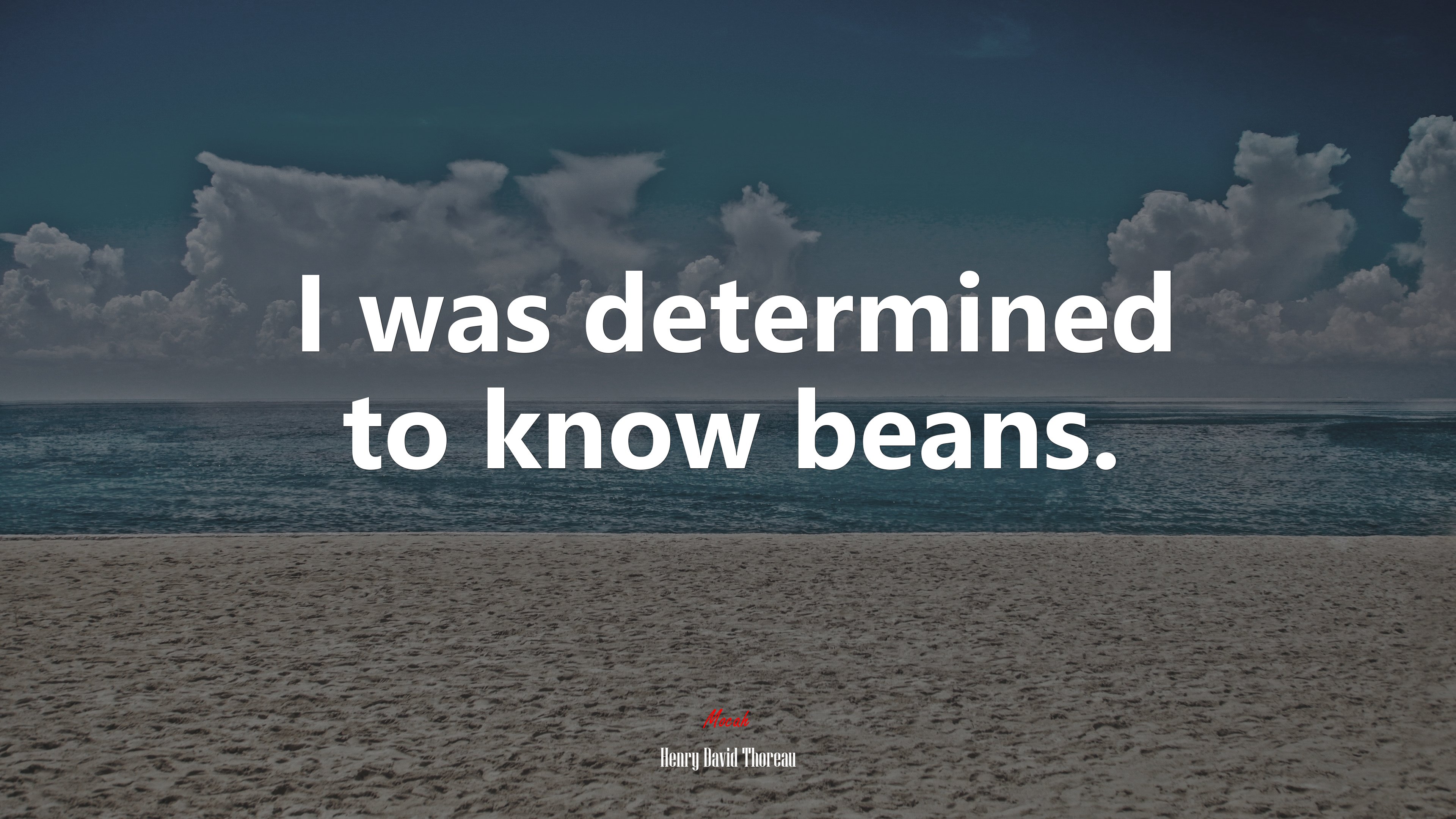 I was determined to know beans. | Henry David Thoreau quote HD Wallpaper