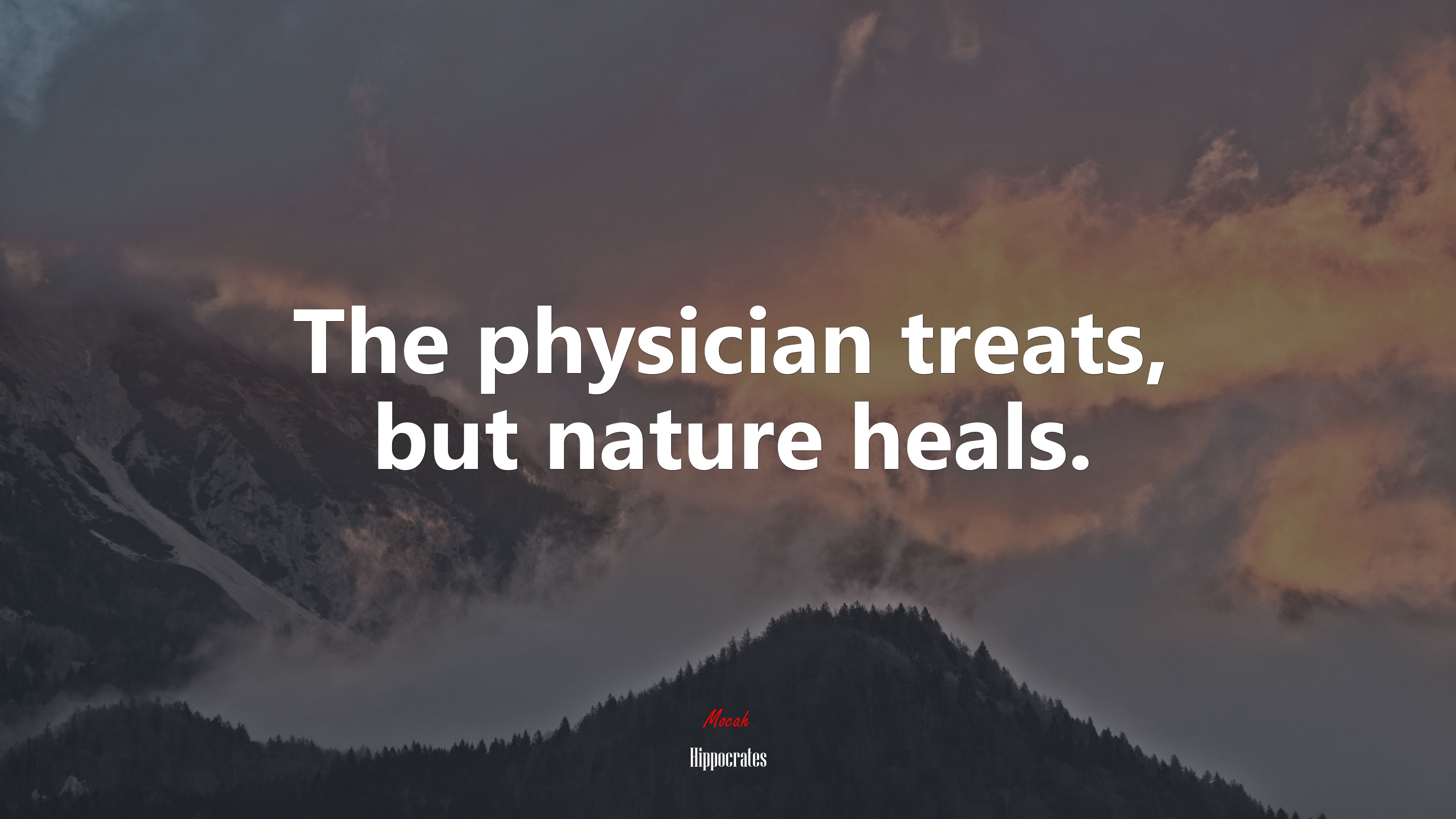 The physician treats, but nature heals. | Hippocrates quote HD Wallpaper