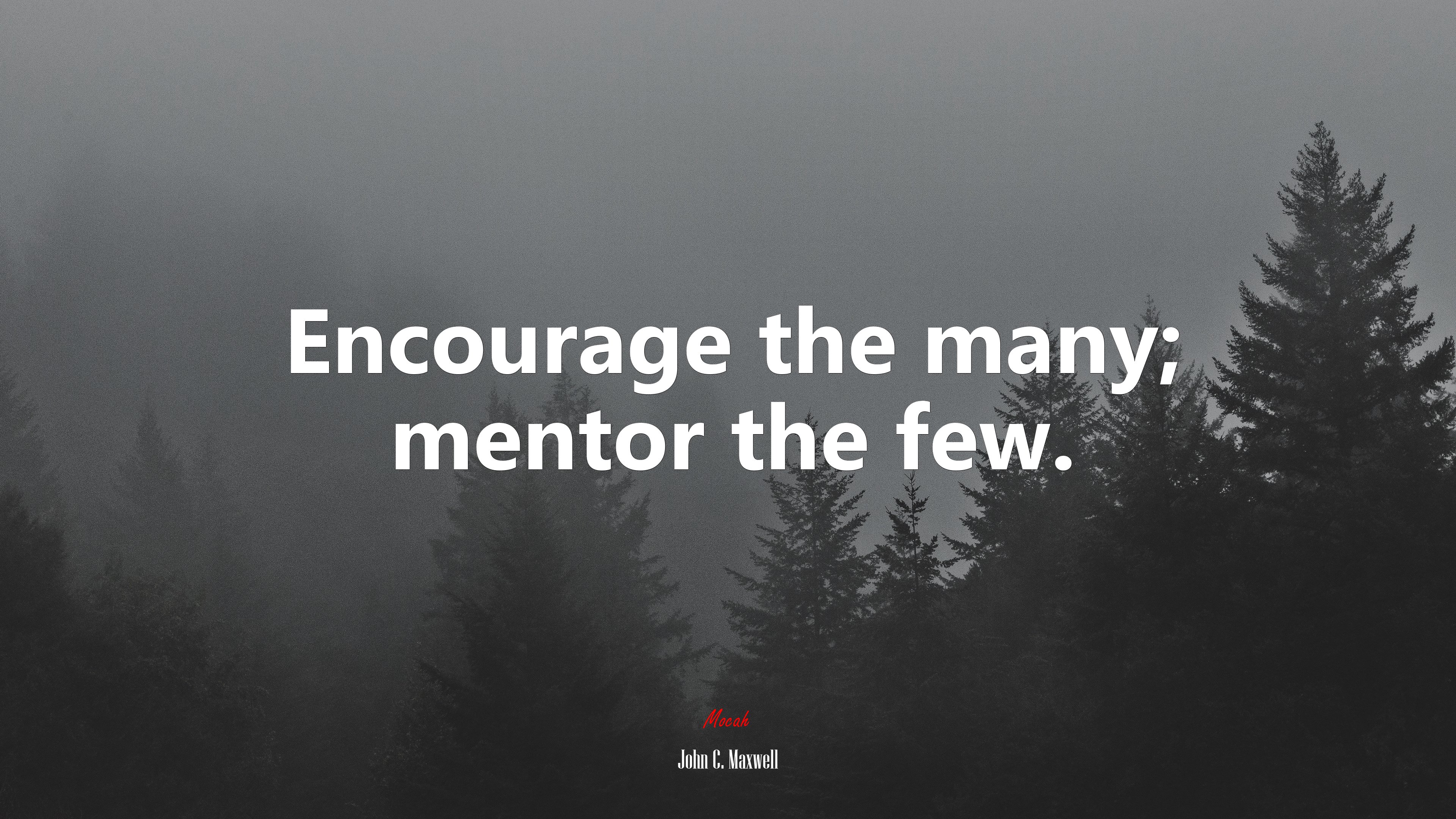 Encourage the many; mentor the few. | John C. Maxwell quote HD Wallpaper