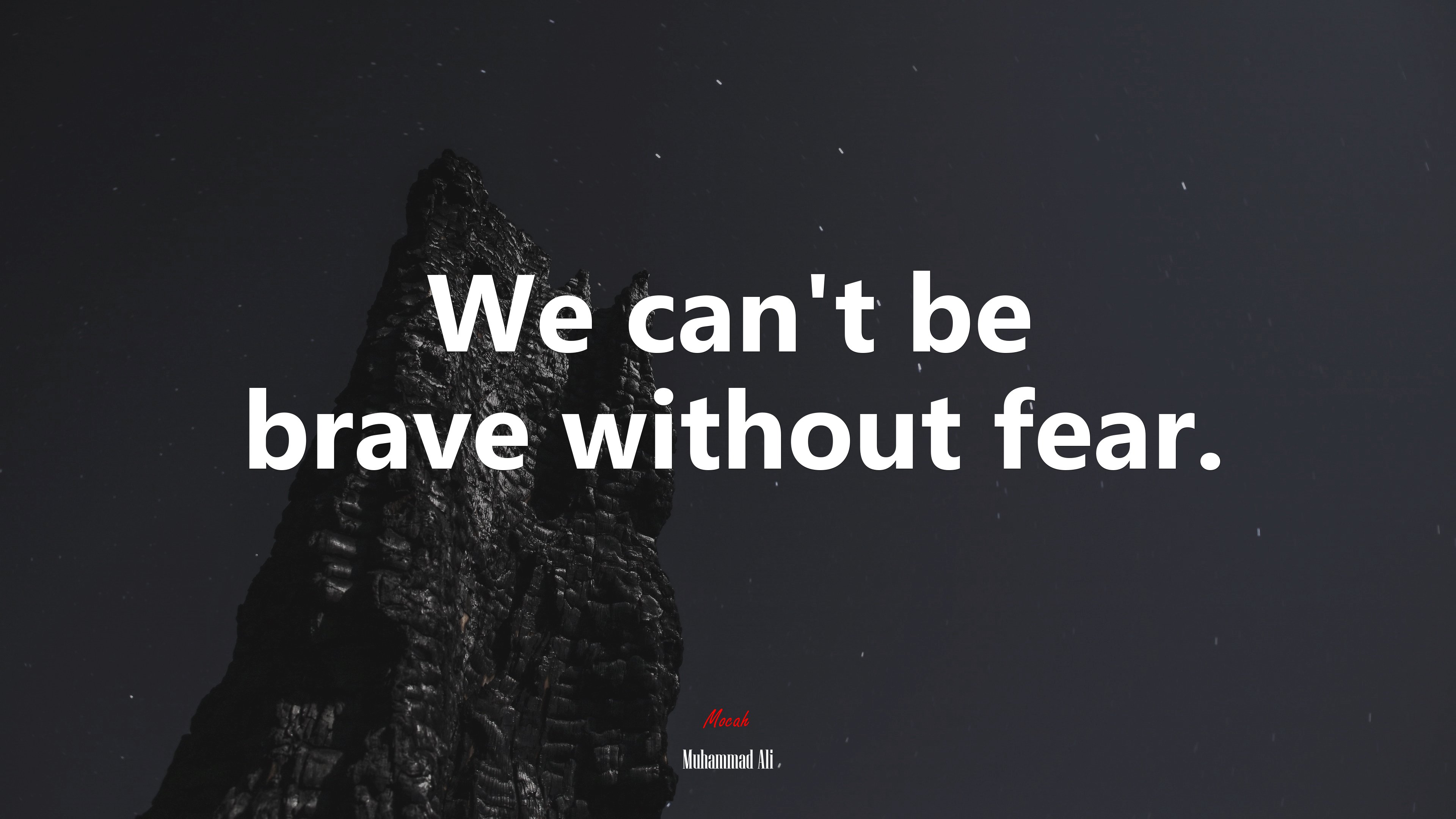 We can’t be brave without fear. | Muhammad Ali quote HD Wallpaper