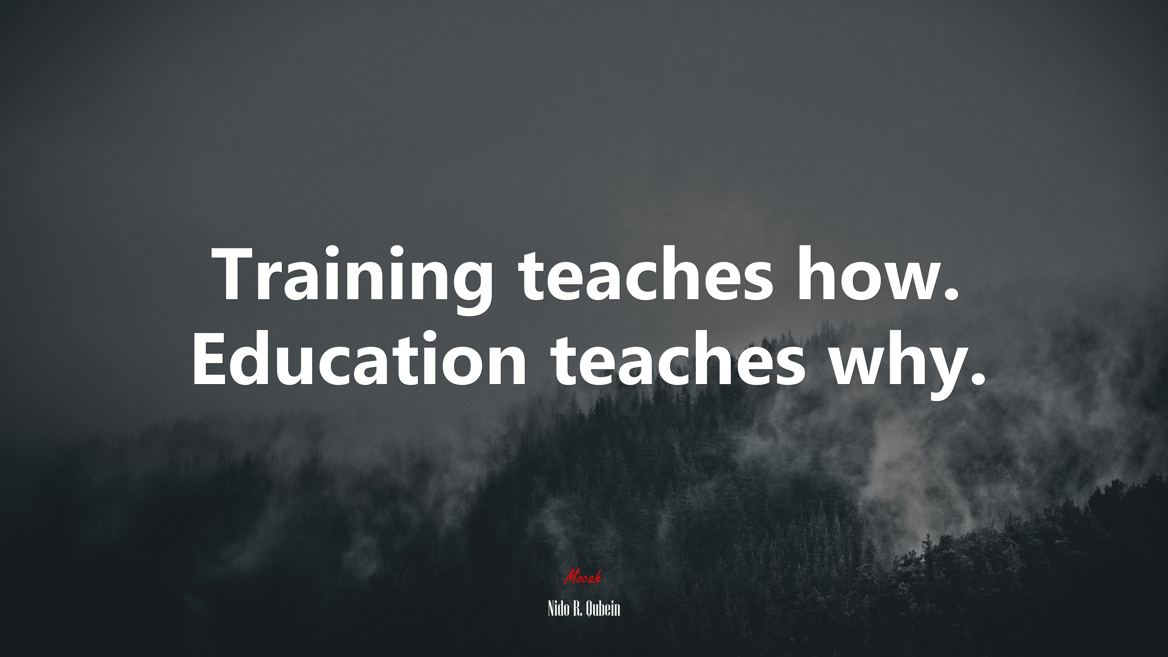 Training teaches how. Education teaches why. | Nido R. Qubein quote HD Wallpaper