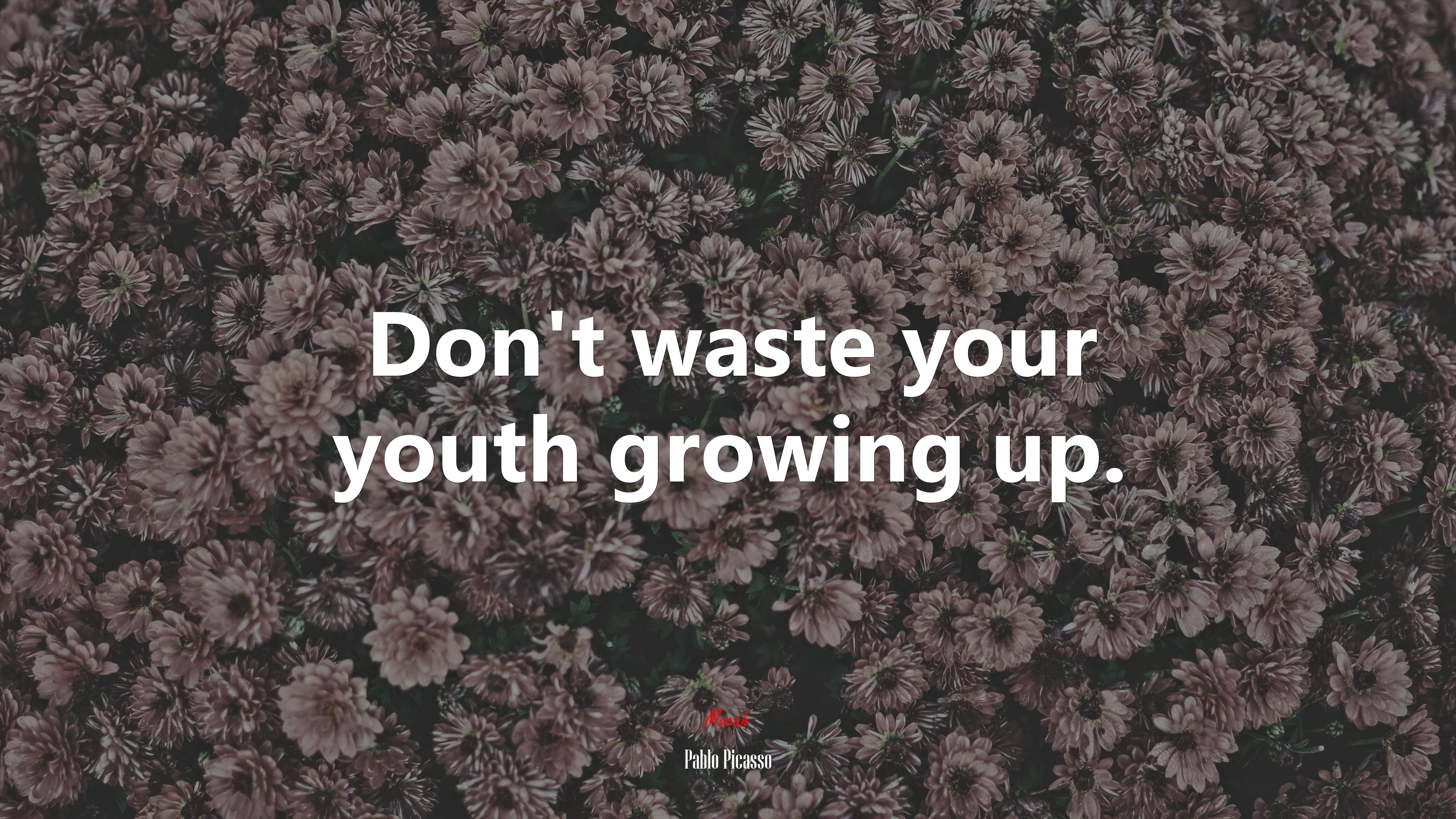 Don’t waste your youth growing up. | Pablo Picasso quote HD Wallpaper