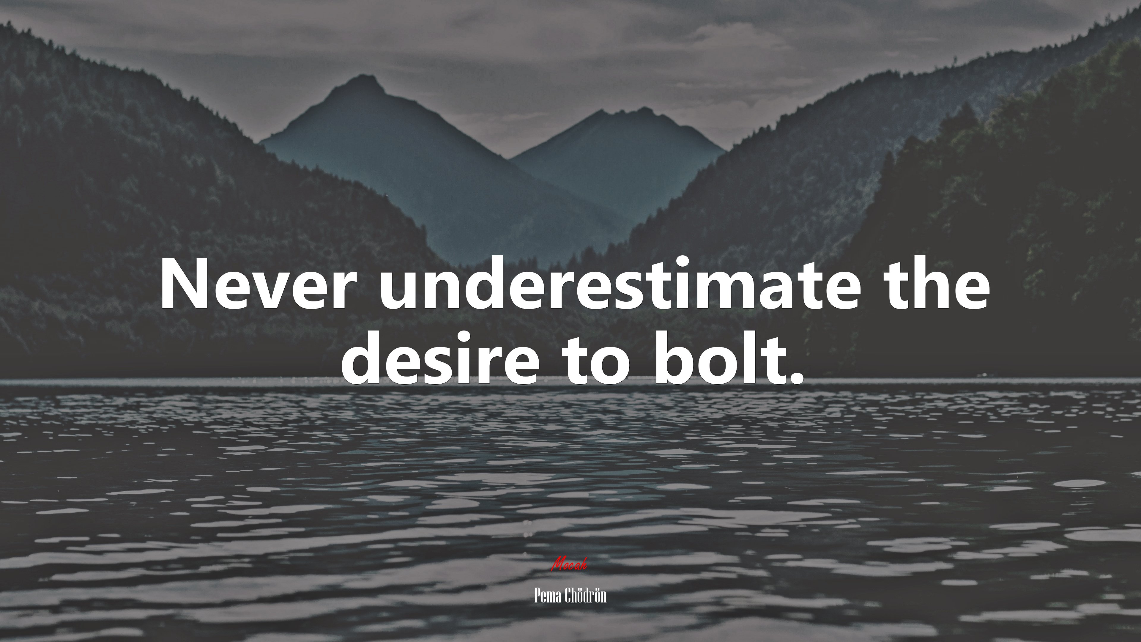 Never underestimate the desire to bolt. | Pema Chödrön quote HD Wallpaper