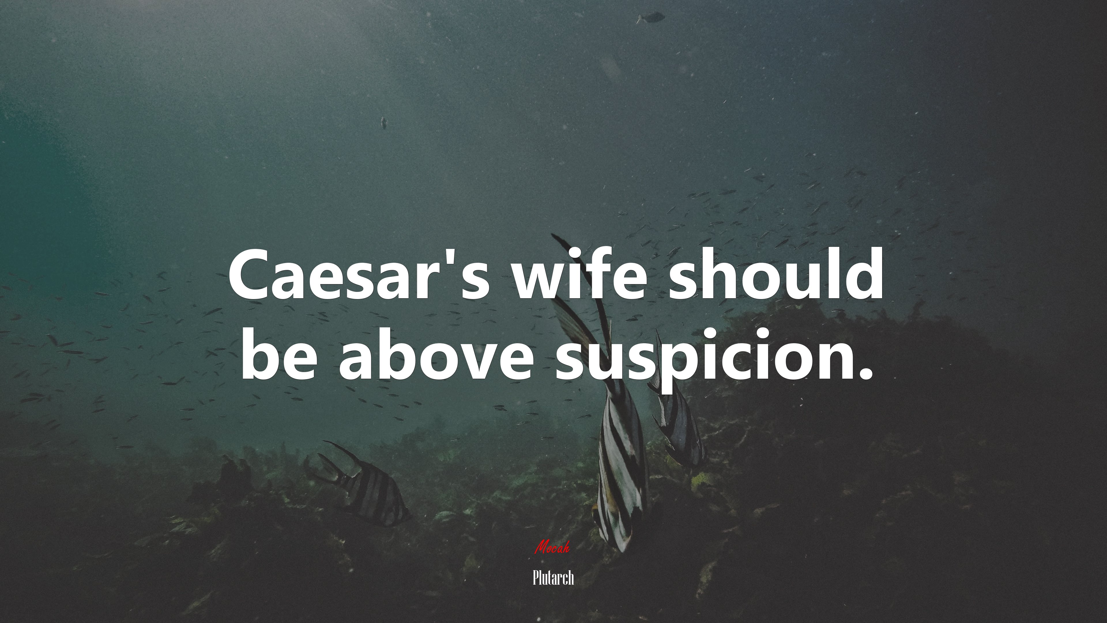 Caesar’s wife should be above suspicion. | Plutarch quote HD Wallpaper