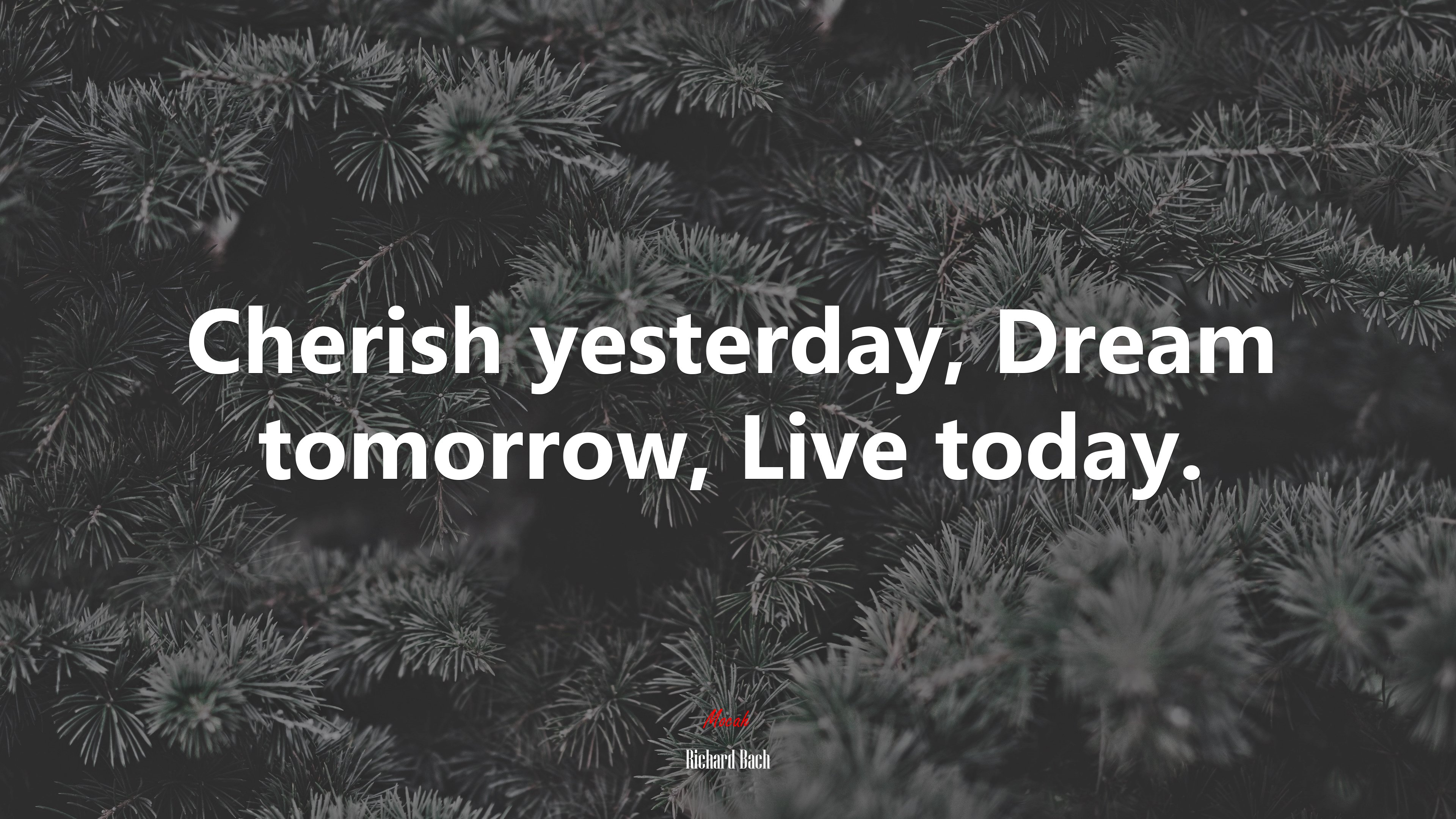 Cherish yesterday, Dream tomorrow, Live today. | Richard Bach quote HD Wallpaper