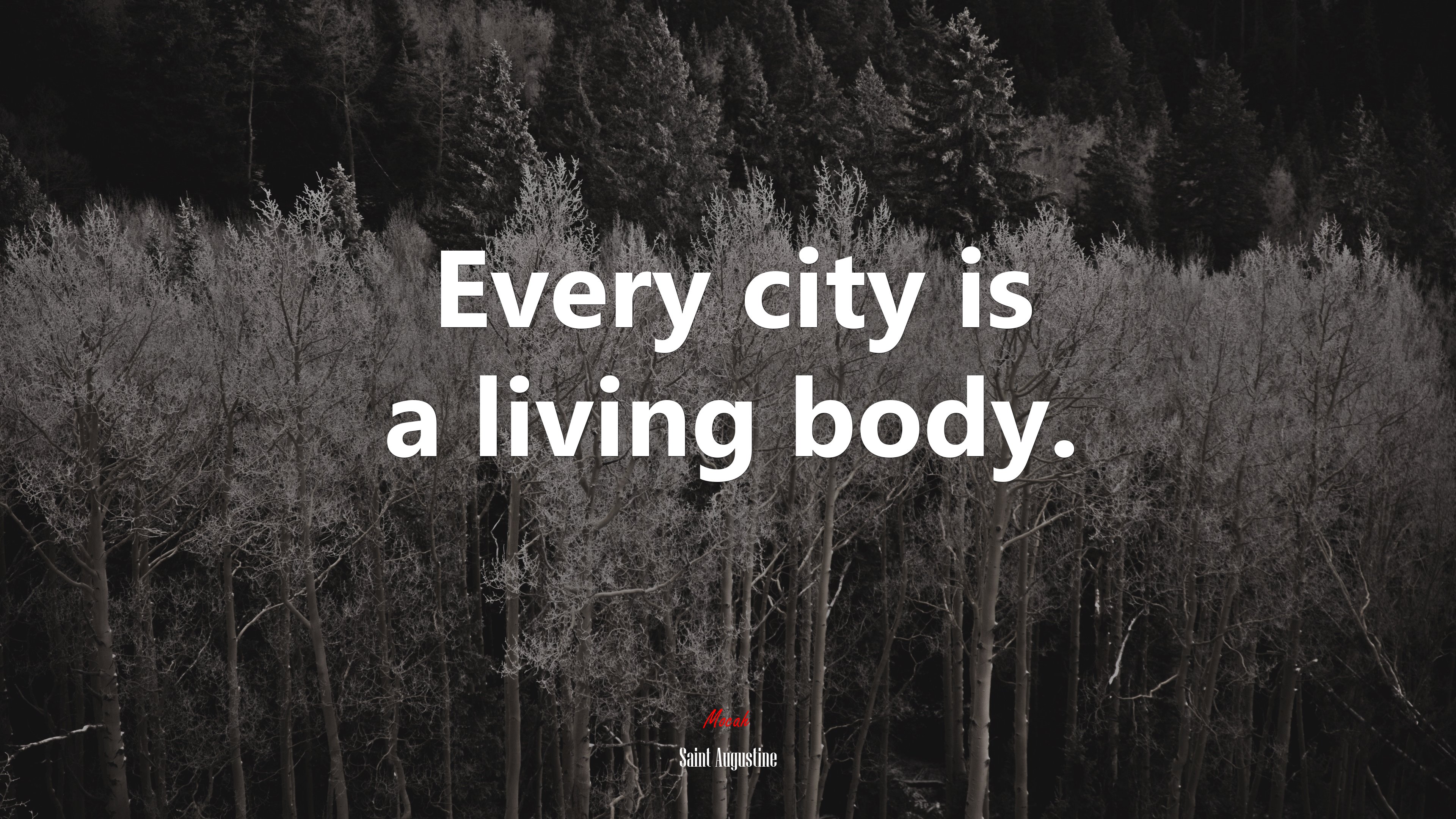 Every city is a living body. | Saint Augustine quote HD Wallpaper