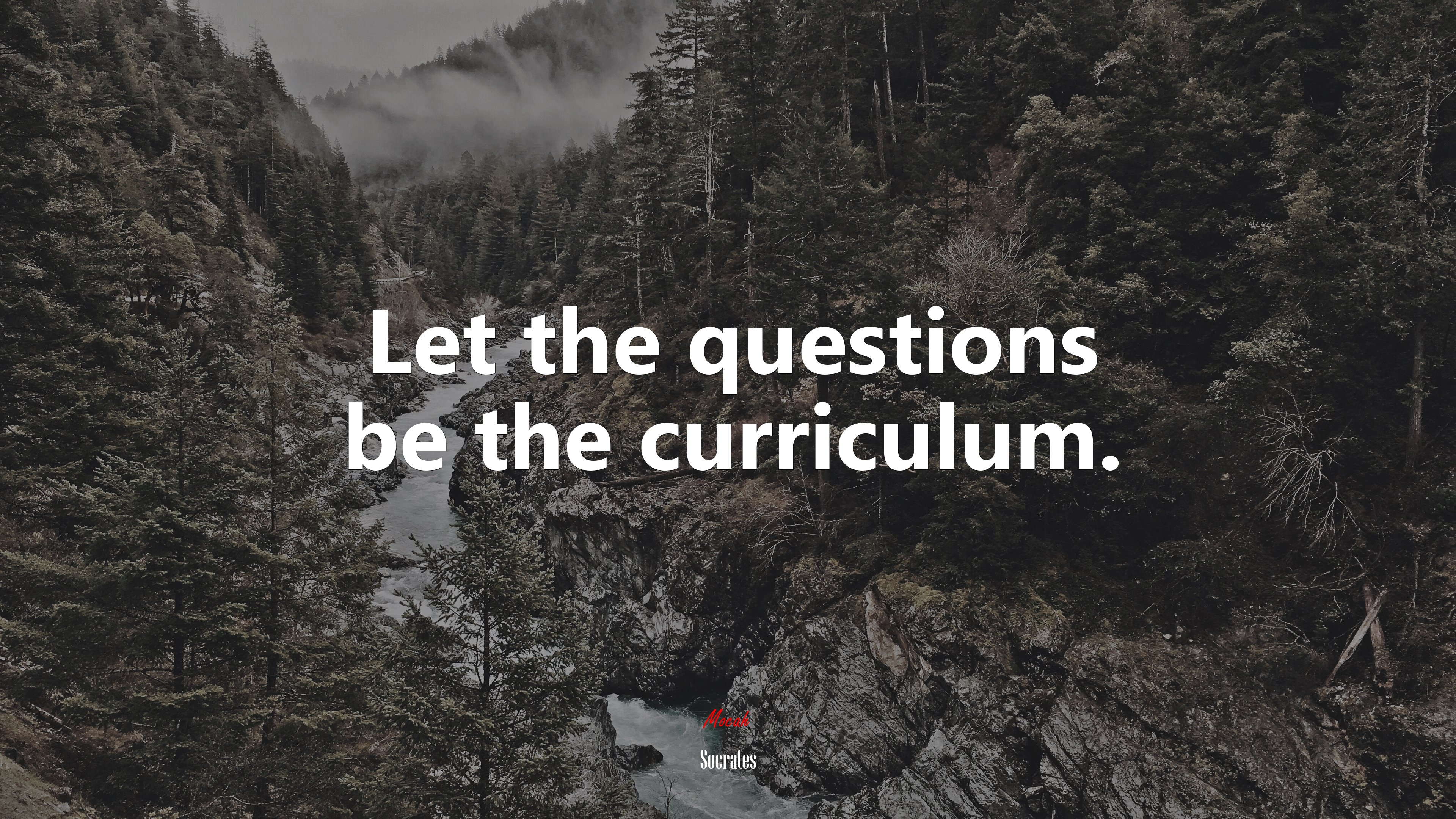 Let the questions be the curriculum. | Socrates quote HD Wallpaper