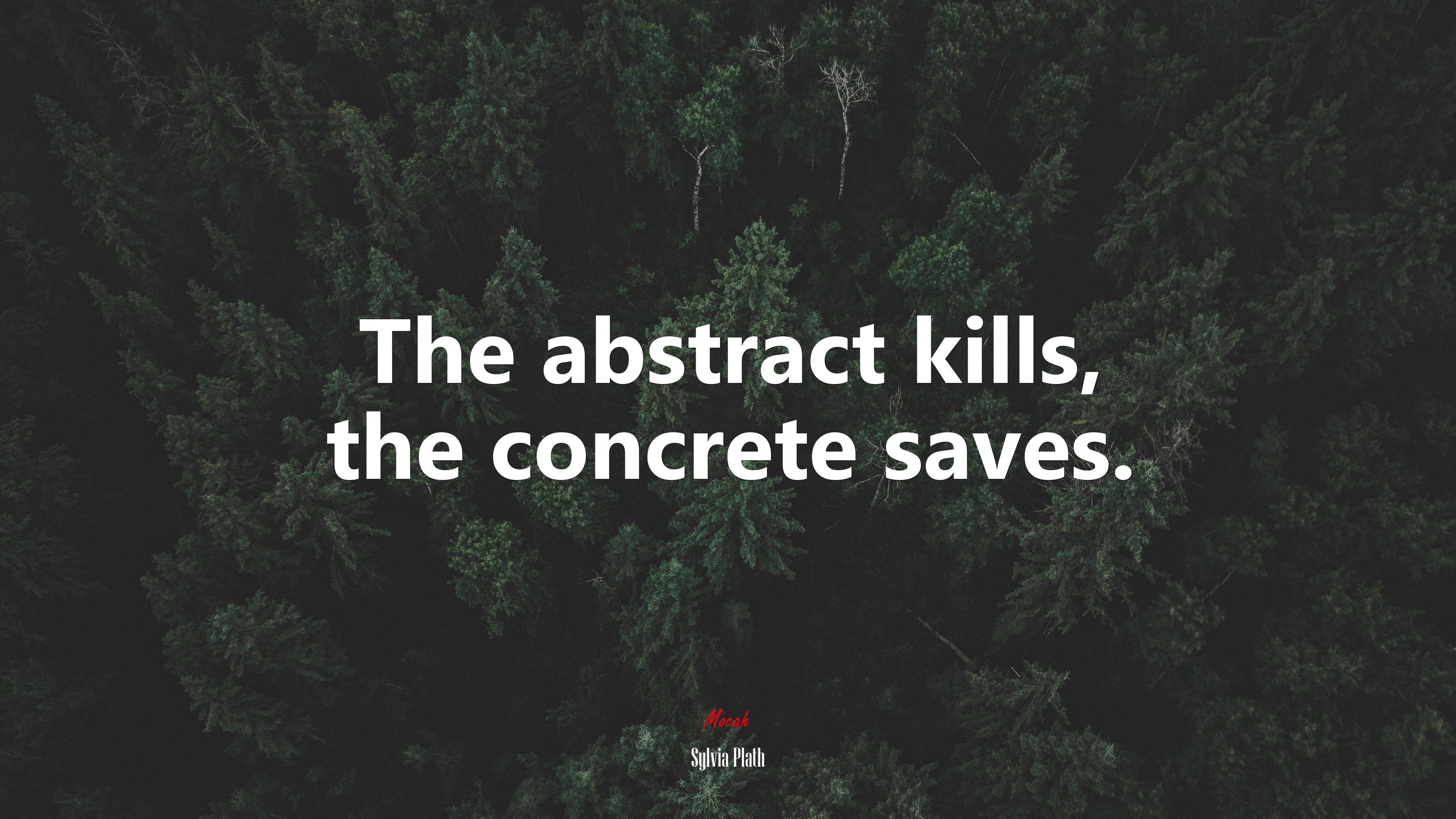 The abstract kills, the concrete saves. | Sylvia Plath quote HD Wallpaper