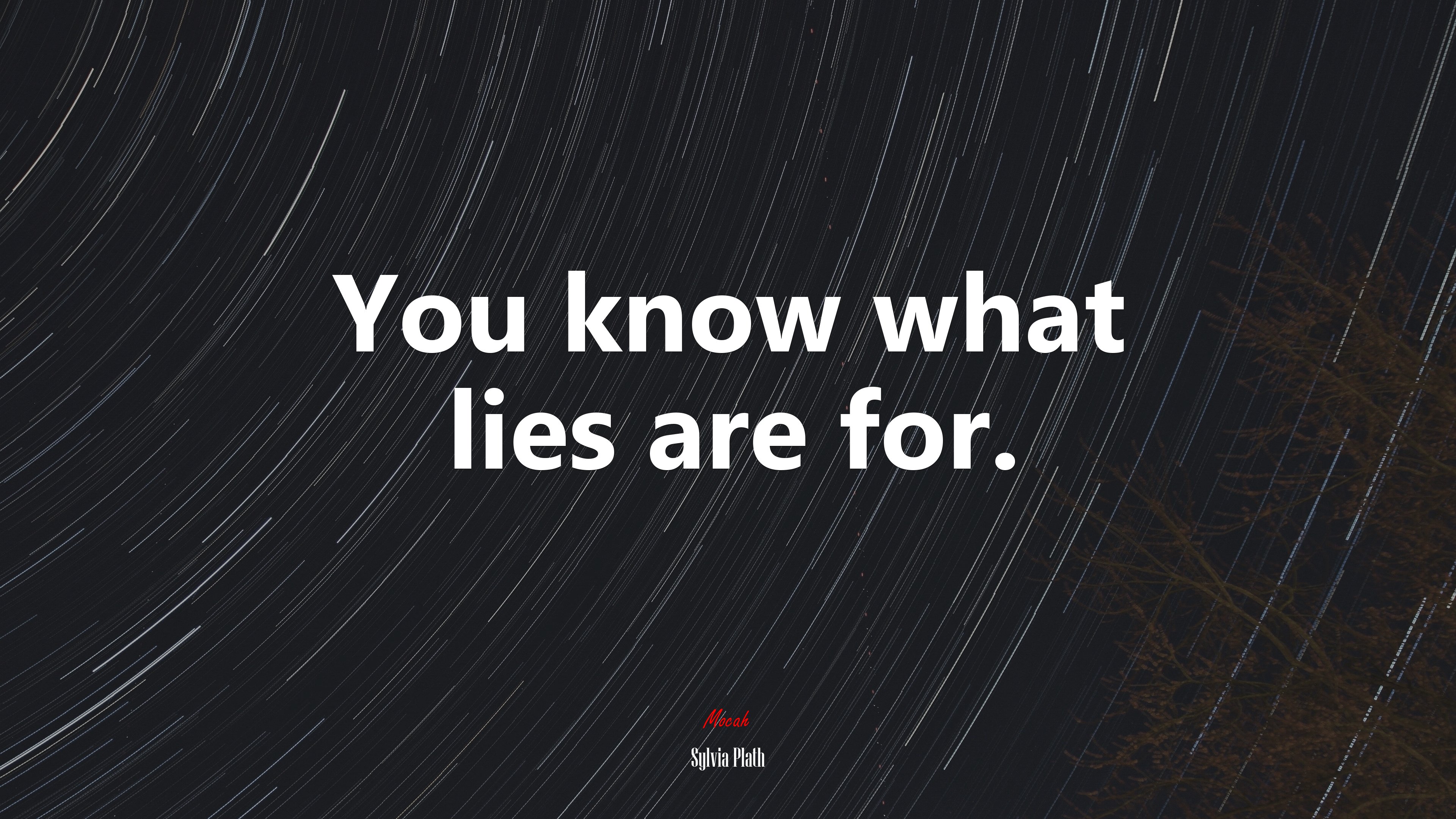 You know what lies are for. | Sylvia Plath quote HD Wallpaper