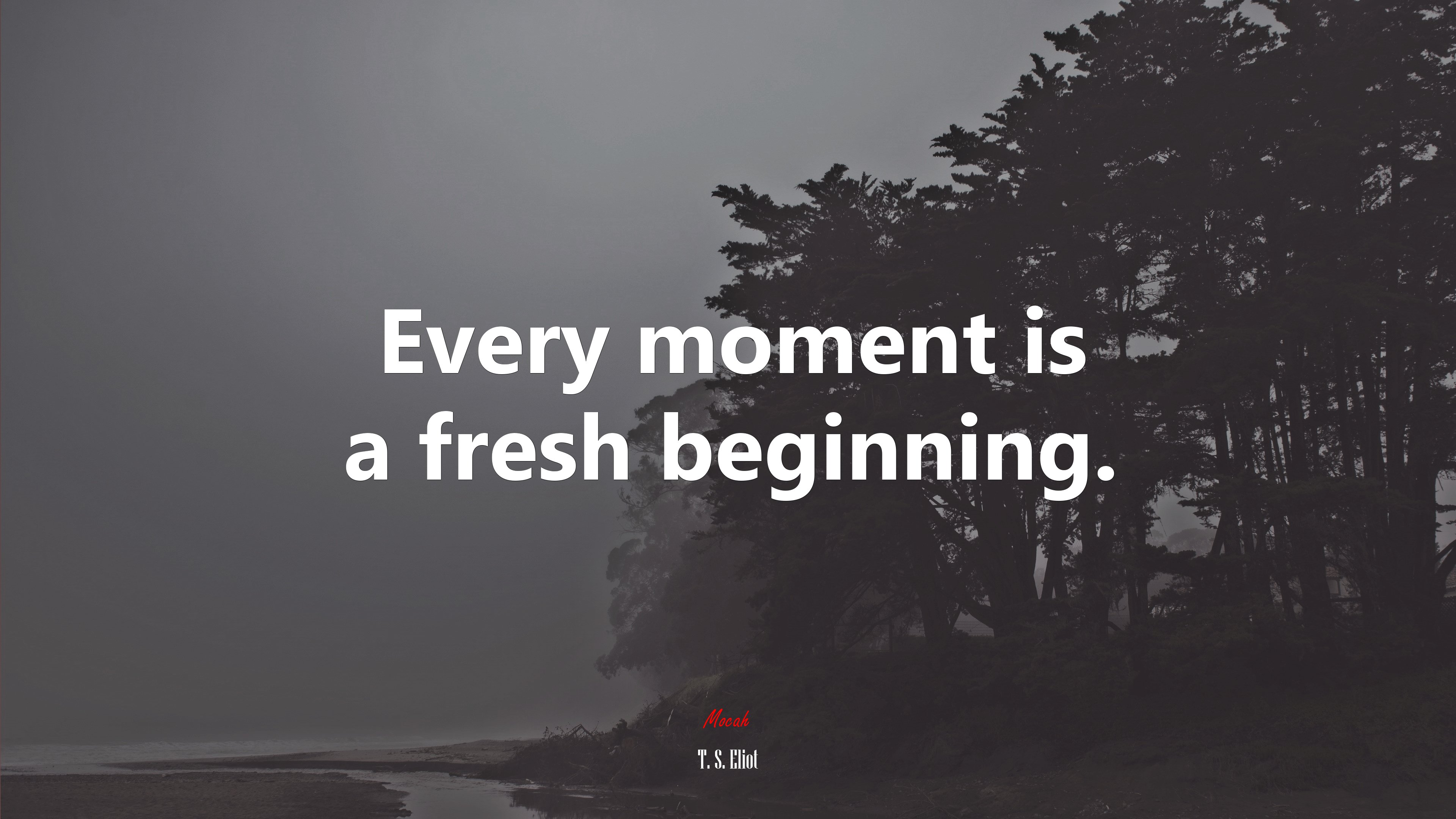Every moment is a fresh beginning. | T. S. Eliot quote HD Wallpaper