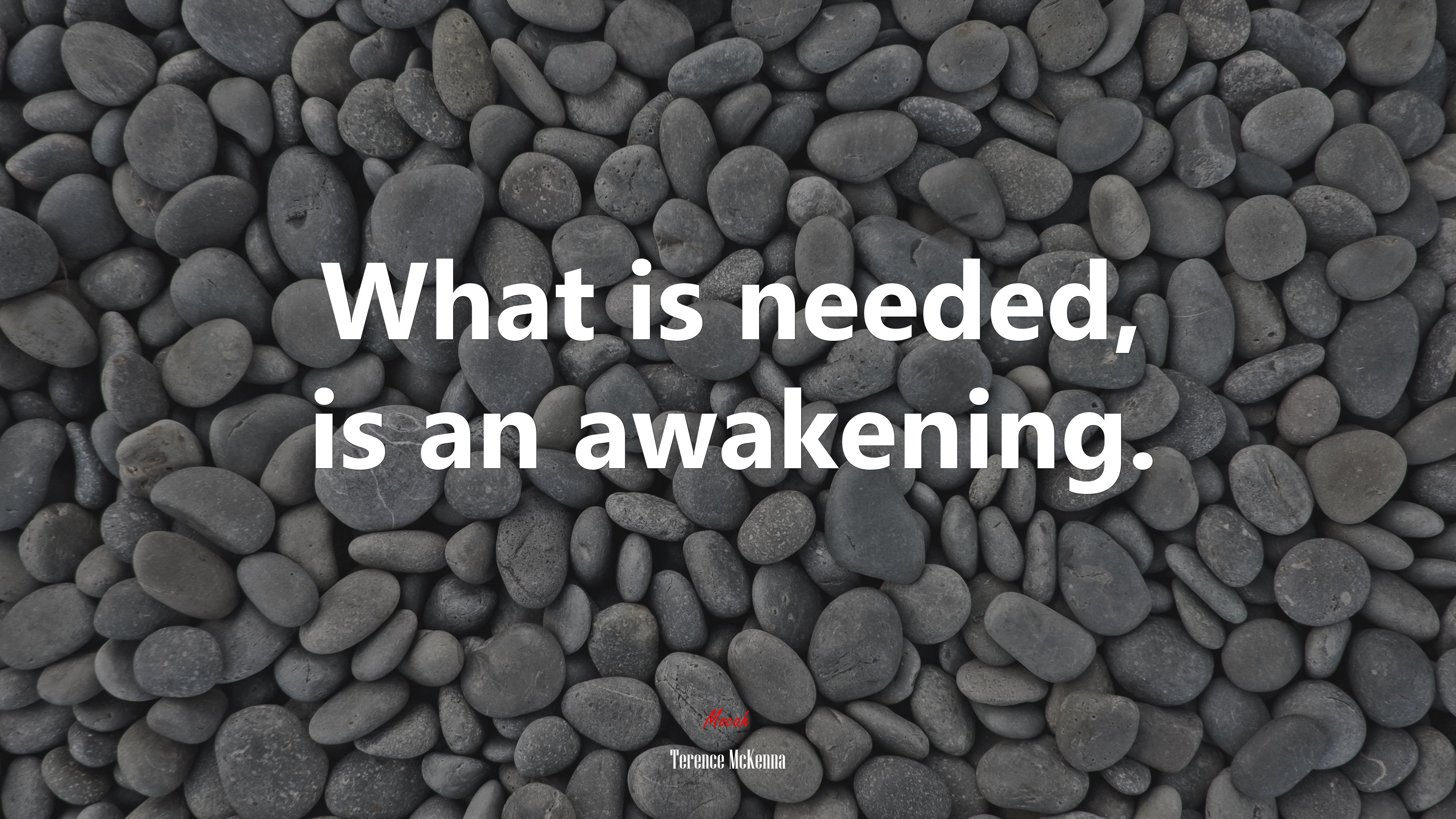 What is needed, is an awakening. | Terence McKenna quote HD Wallpaper