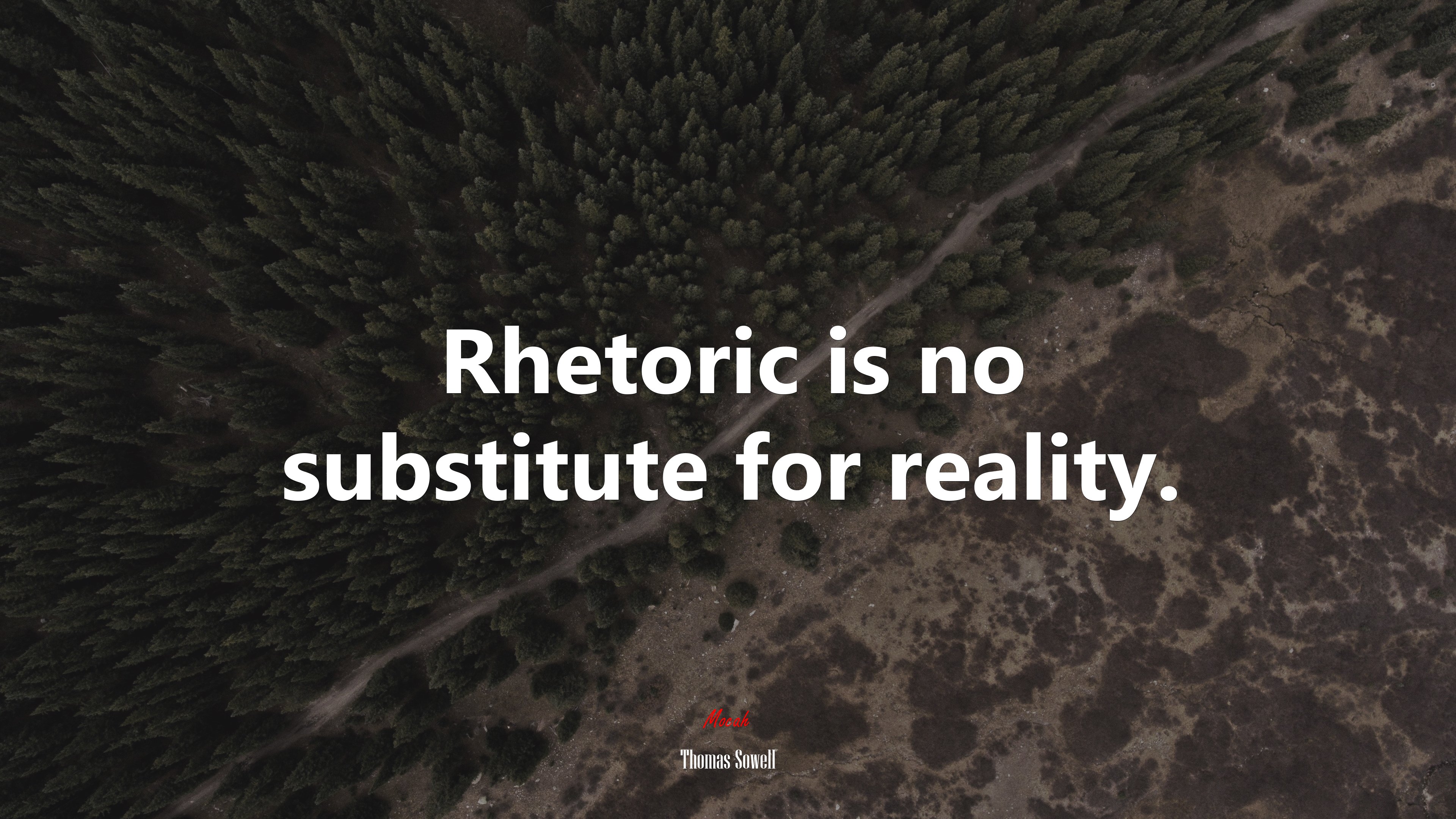 Rhetoric is no substitute for reality. | Thomas Sowell quote HD Wallpaper