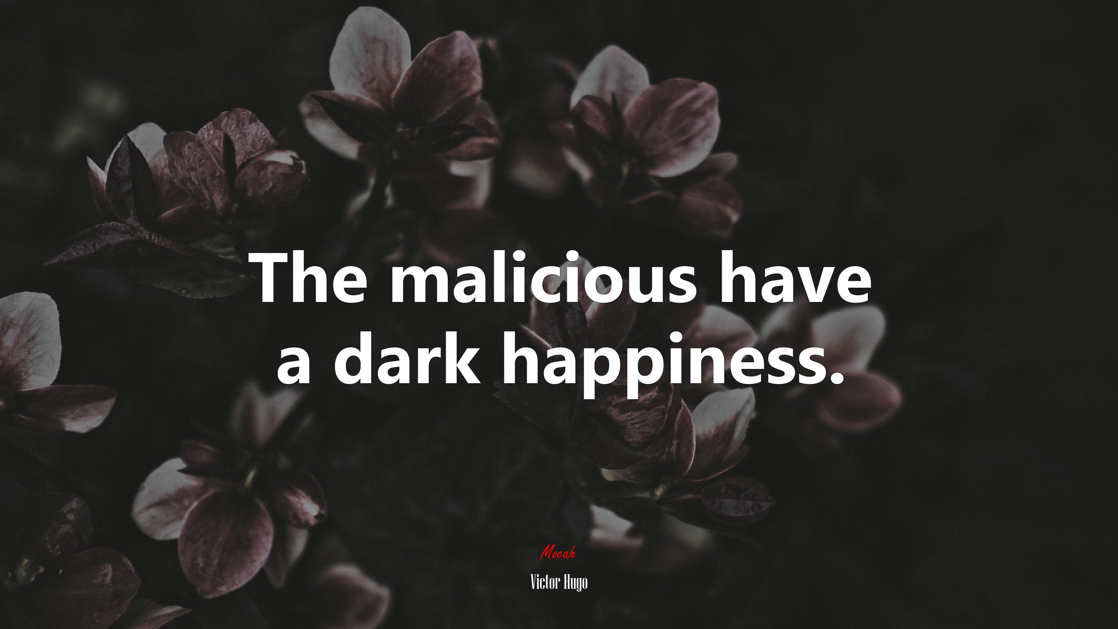 The malicious have a dark happiness. | Victor Hugo quote HD Wallpaper