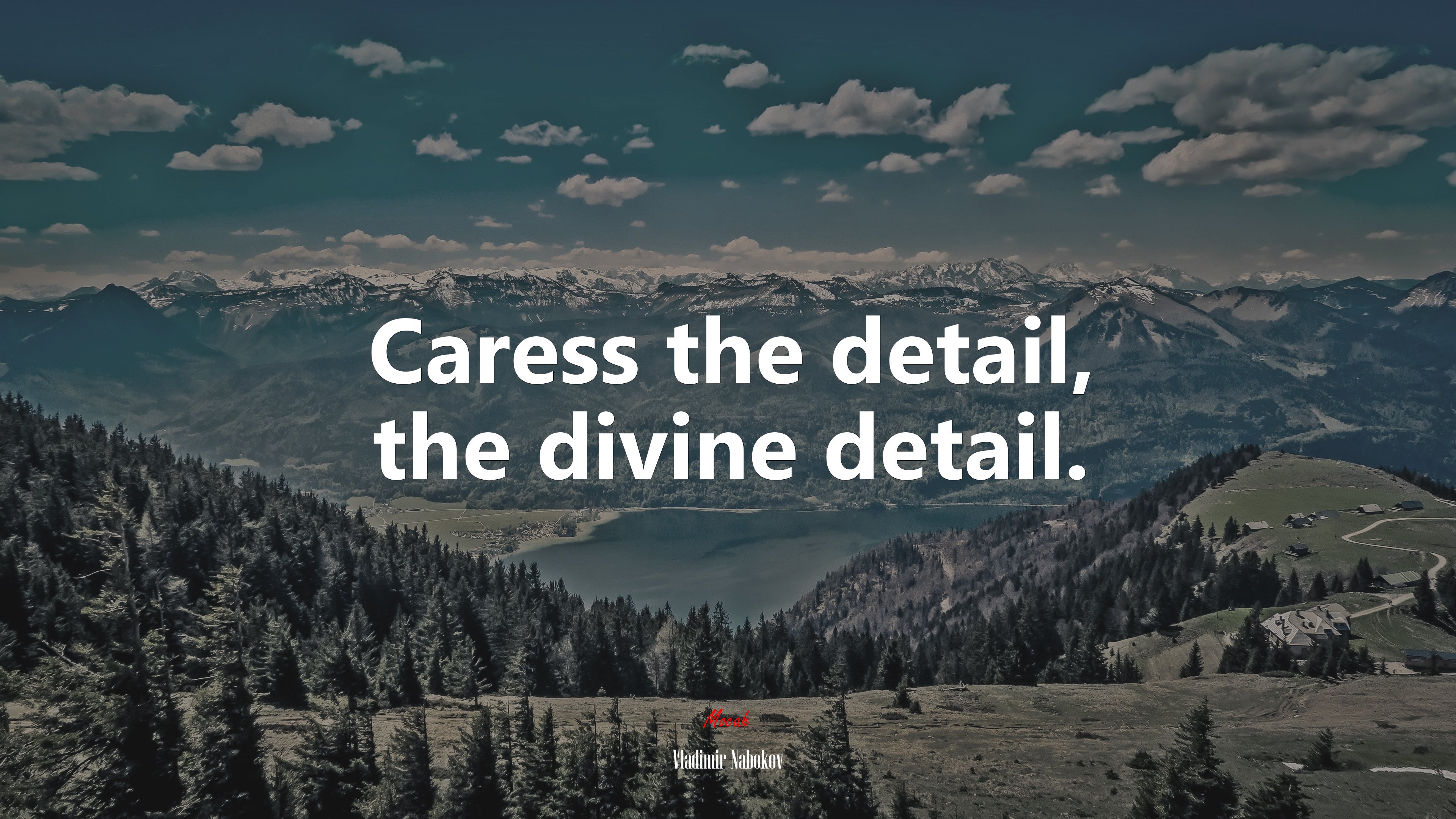 Caress the detail, the divine detail. | Vladimir Nabokov quote HD Wallpaper