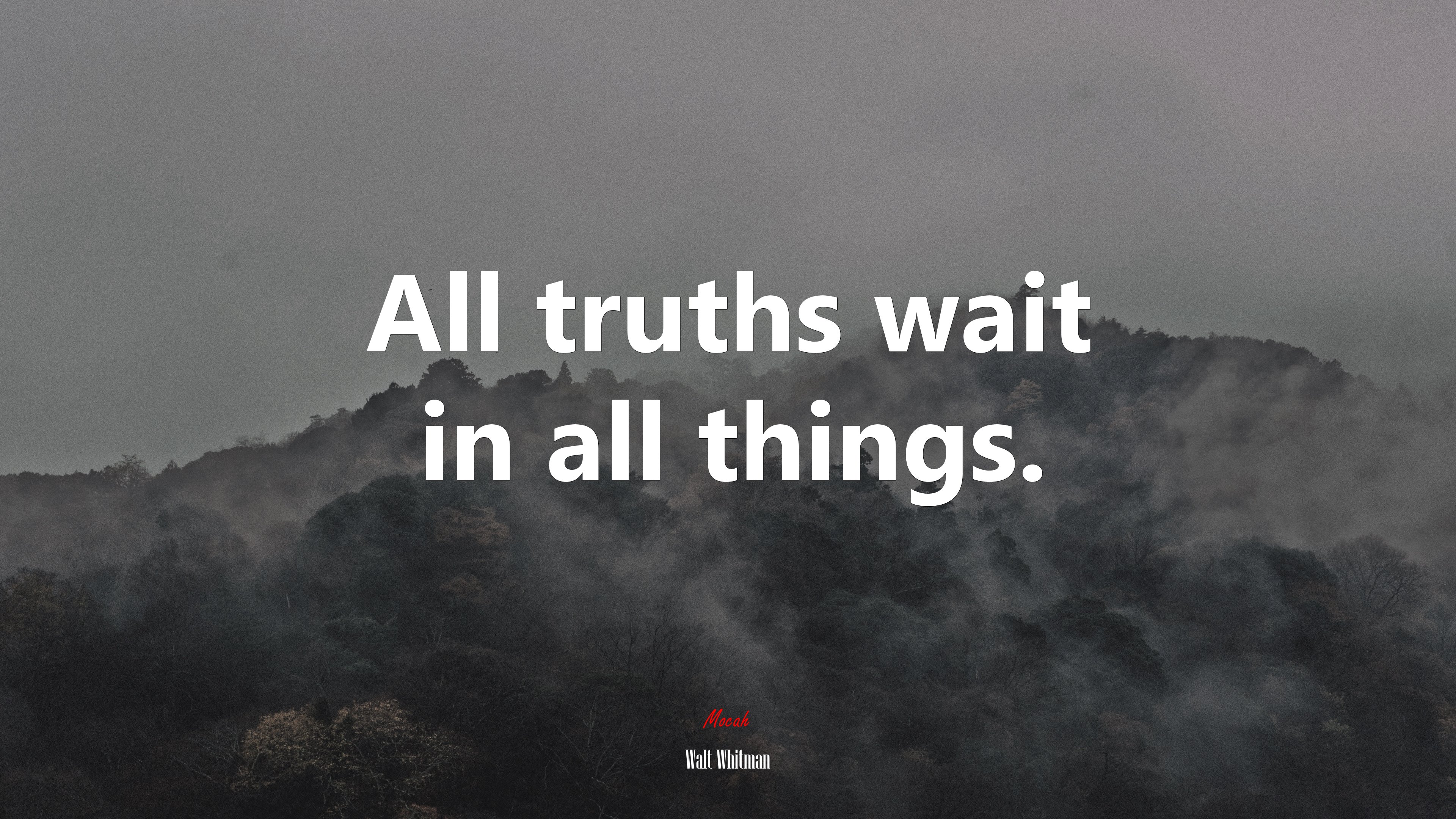 All truths wait in all things. | Walt Whitman quote HD Wallpaper