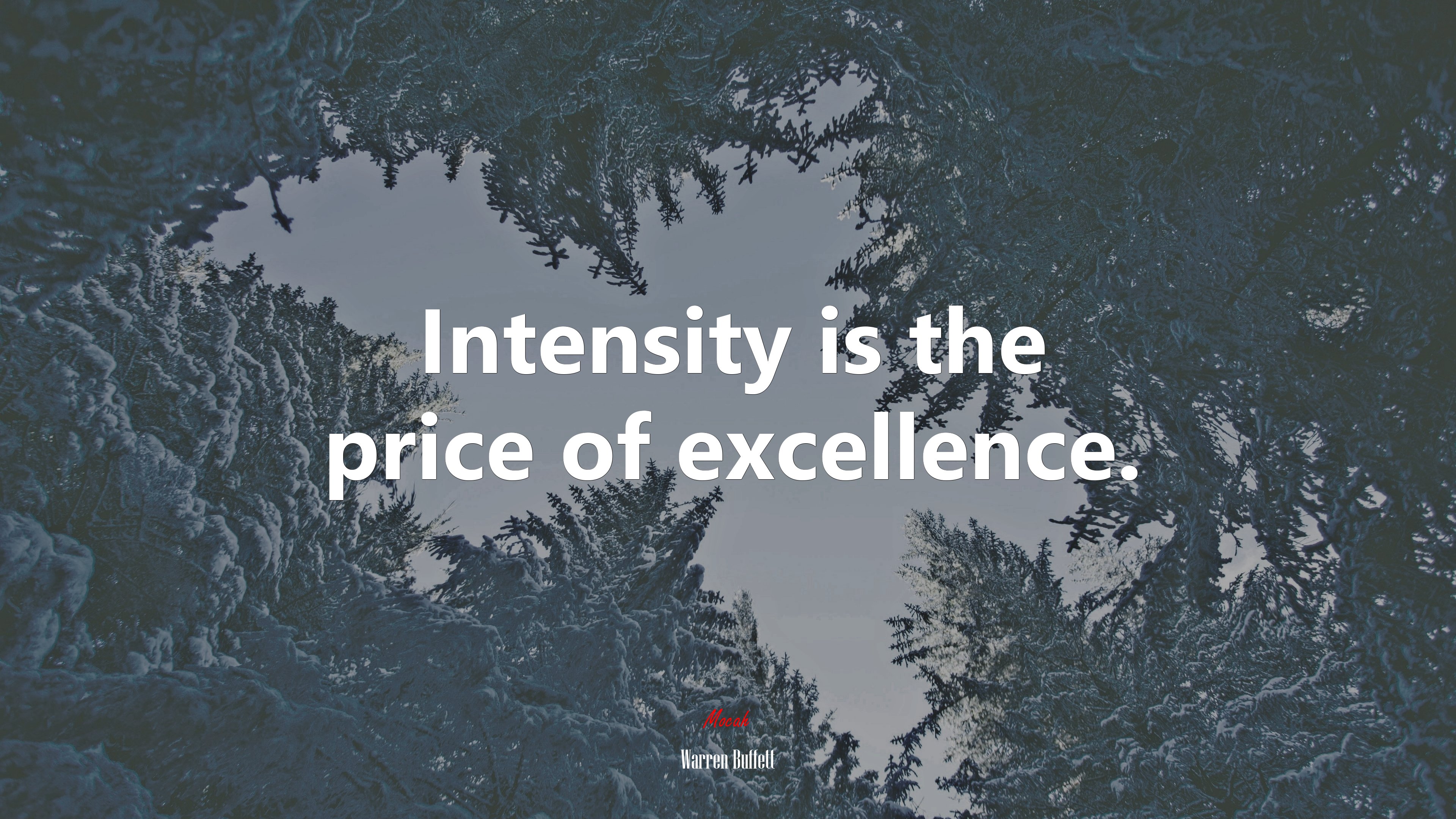 Intensity is the price of excellence. | Warren Buffett quote HD Wallpaper