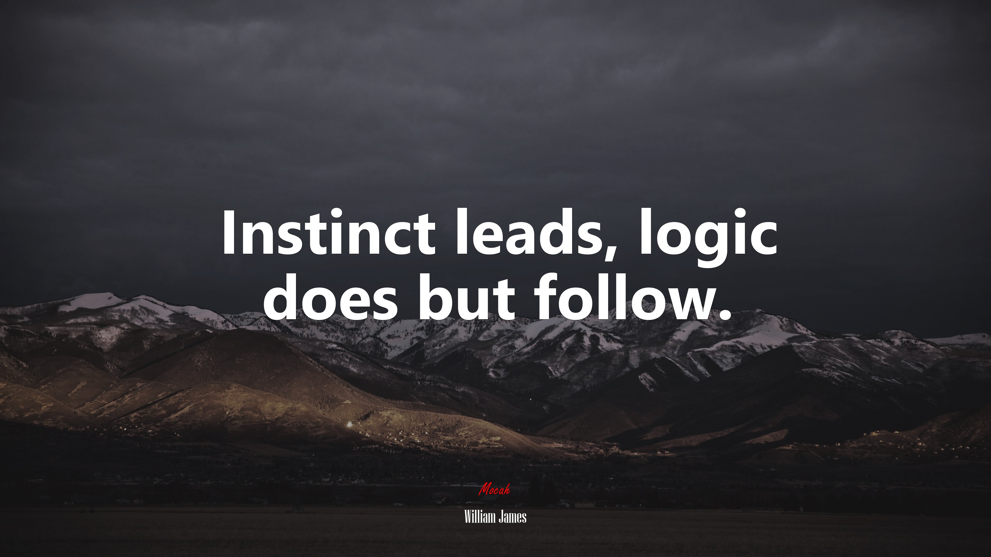 Instinct leads, logic does but follow. | William James quote HD Wallpaper