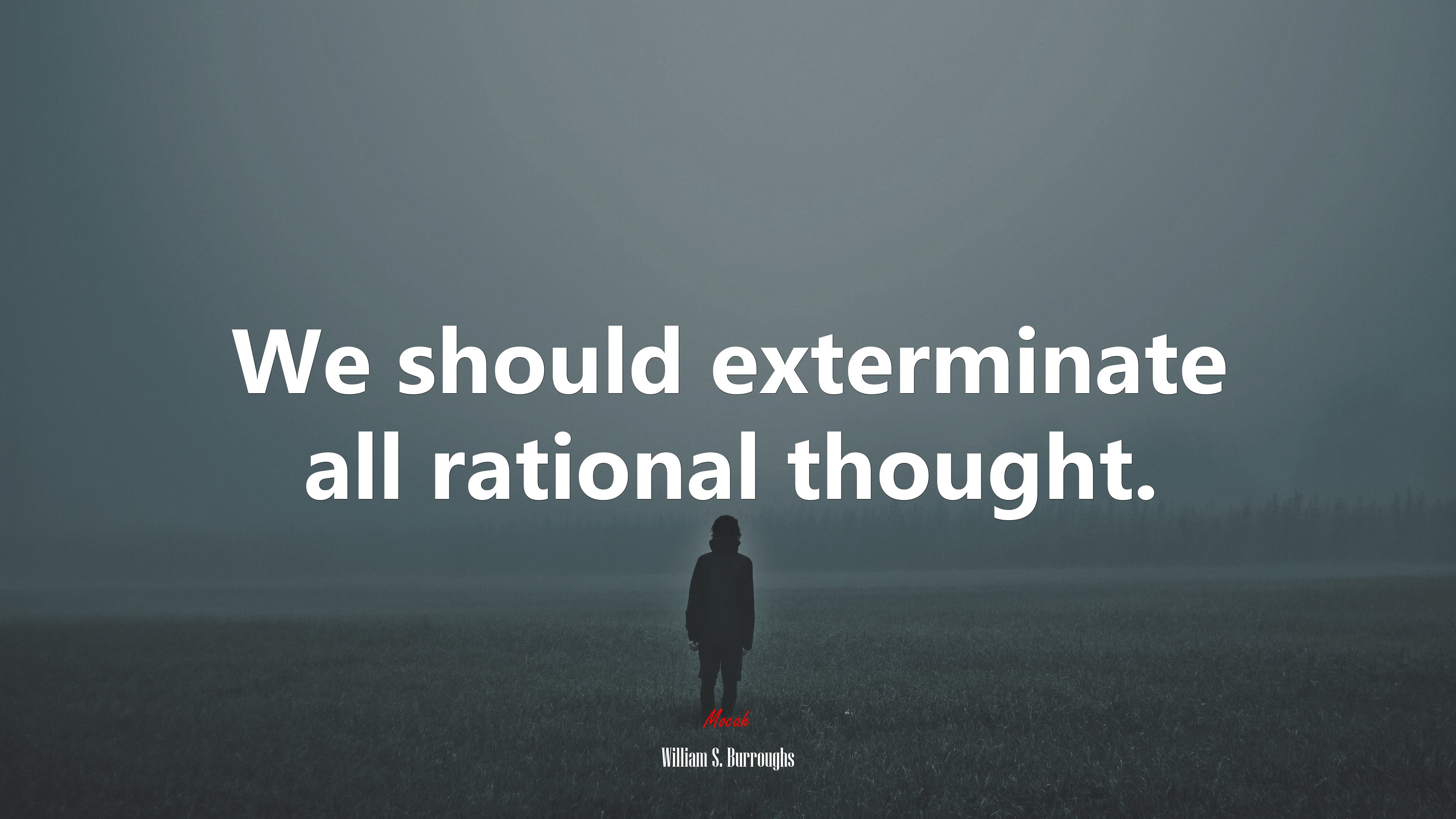 We should exterminate all rational thought. | William S. Burroughs quote HD Wallpaper