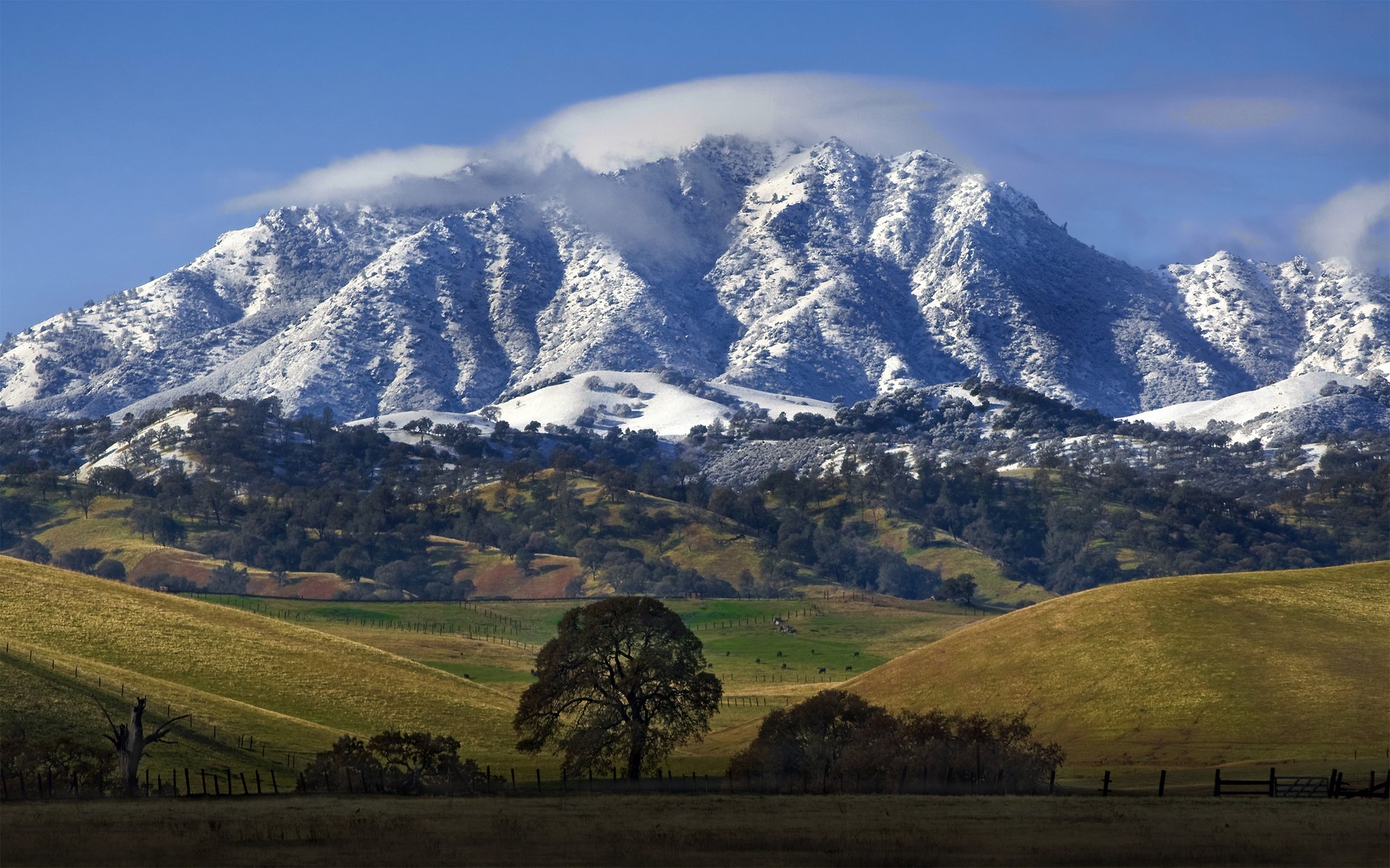 Snow-capped mountains and rolling hills with trees HD Wallpaper