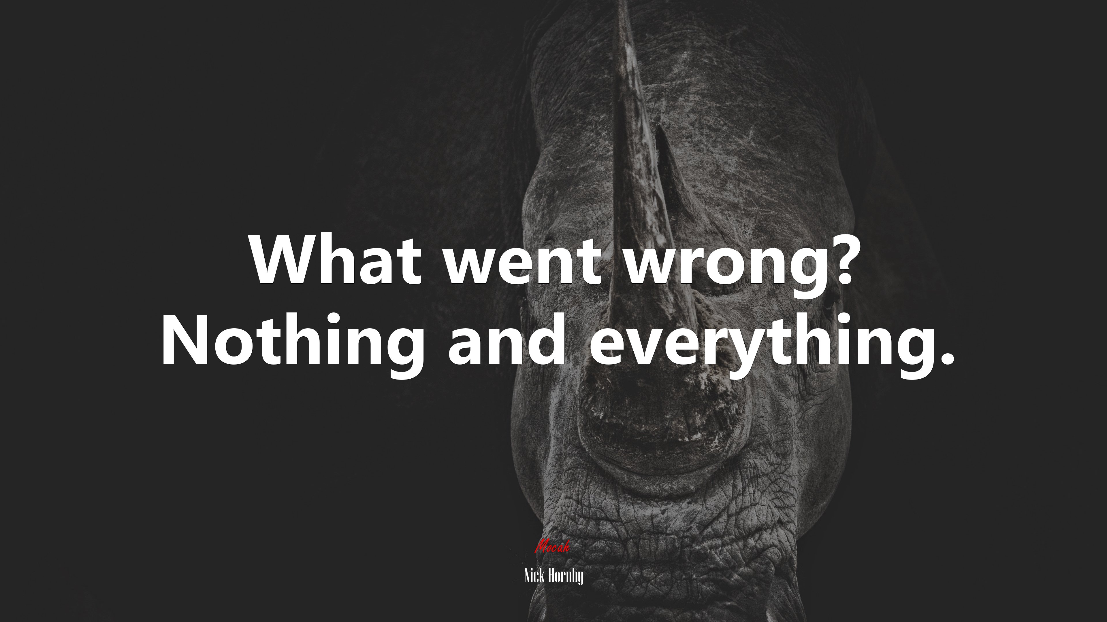 What went wrong? Nothing and everything. | Nick Hornby quote HD Wallpaper
