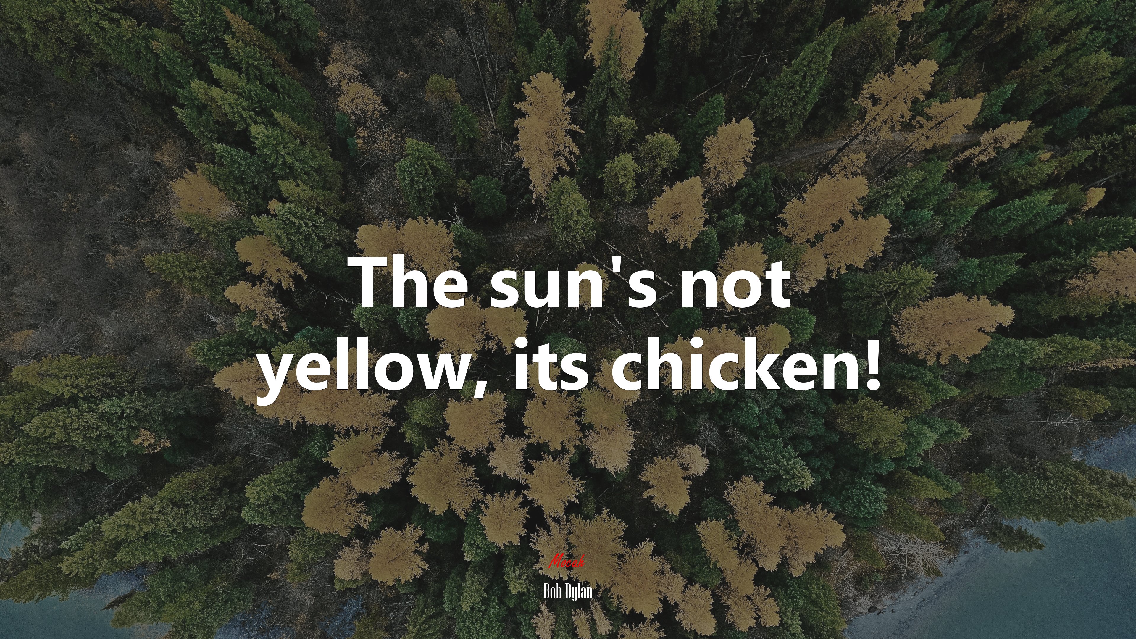 The sun’s not yellow, its chicken! | Bob Dylan quote HD Wallpaper