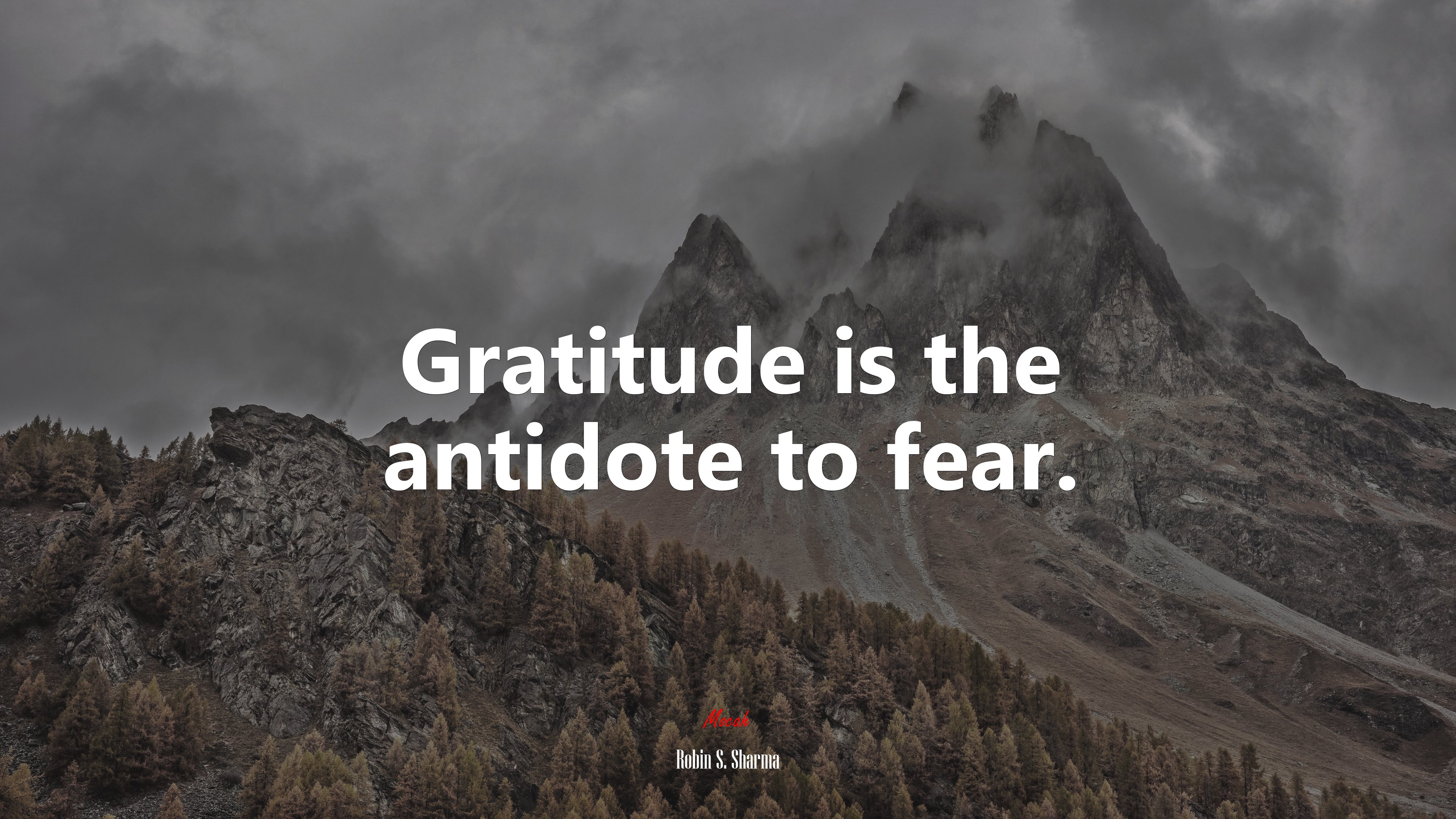 Gratitude is the antidote to fear. | Robin S. Sharma quote HD Wallpaper