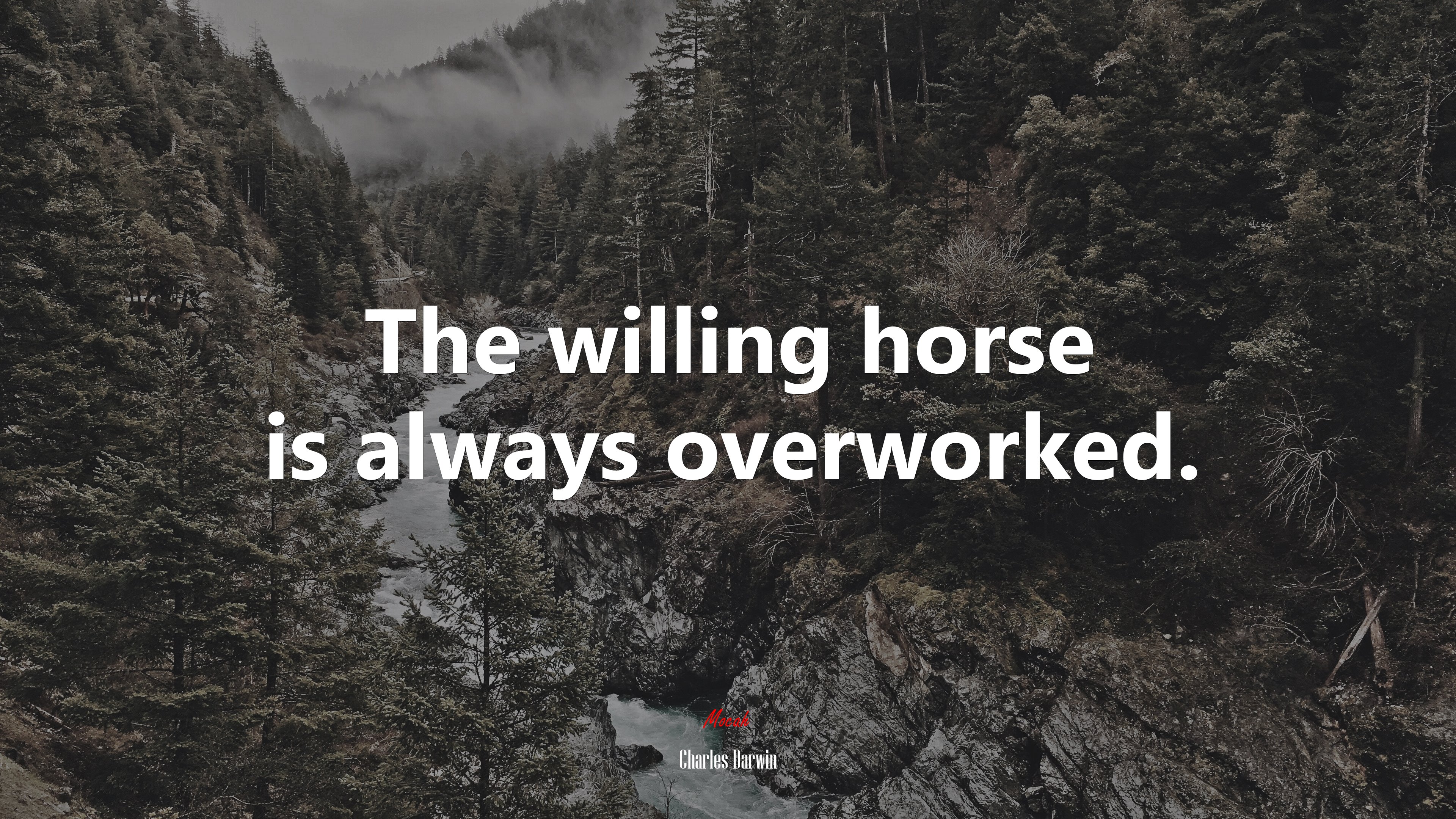 The willing horse is always overworked. | Charles Darwin quote HD Wallpaper