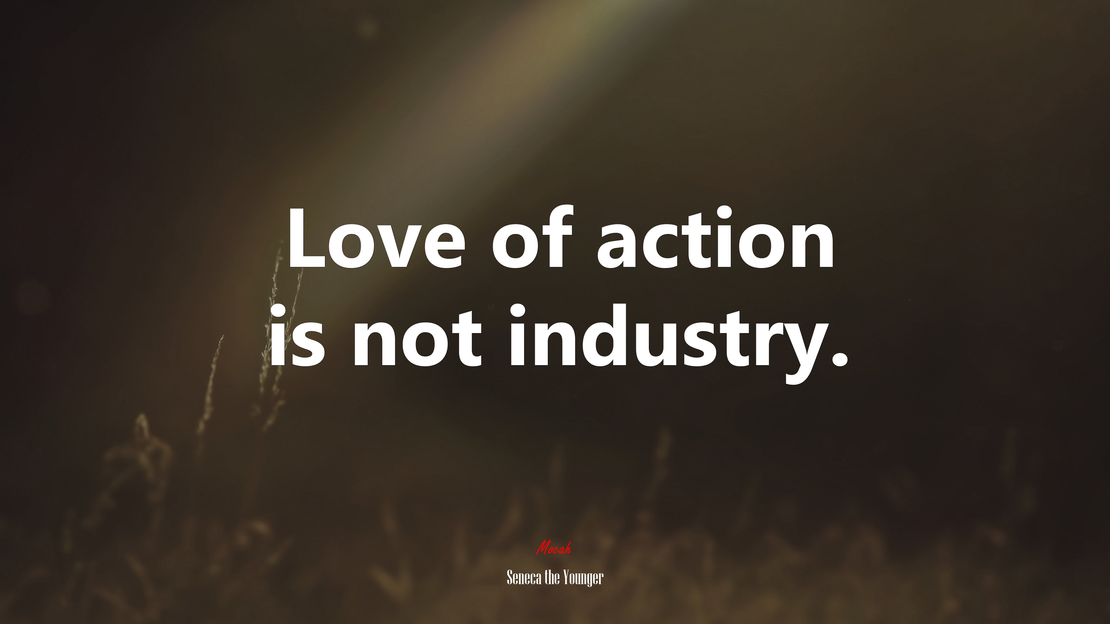 Love of action is not industry. | Seneca the Younger quote HD Wallpaper