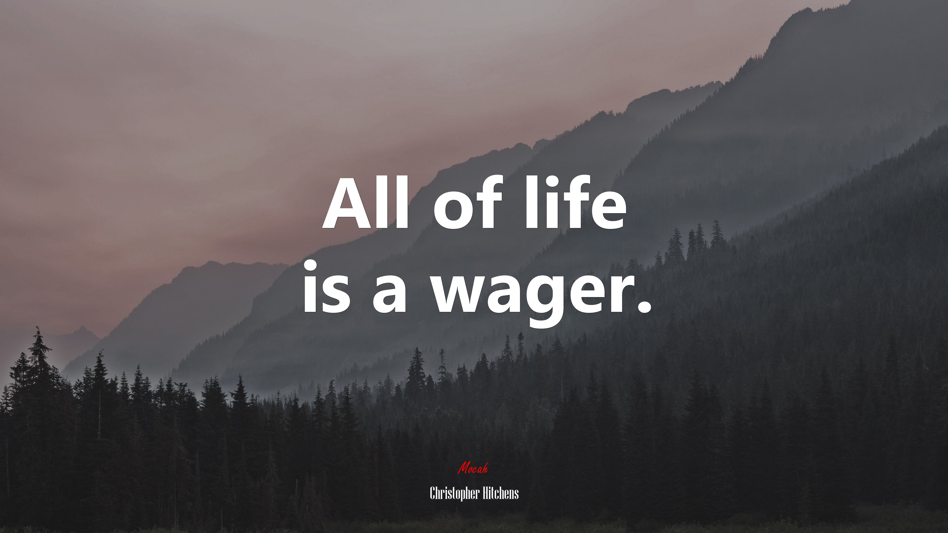 All of life is a wager. | Christopher Hitchens quote HD Wallpaper