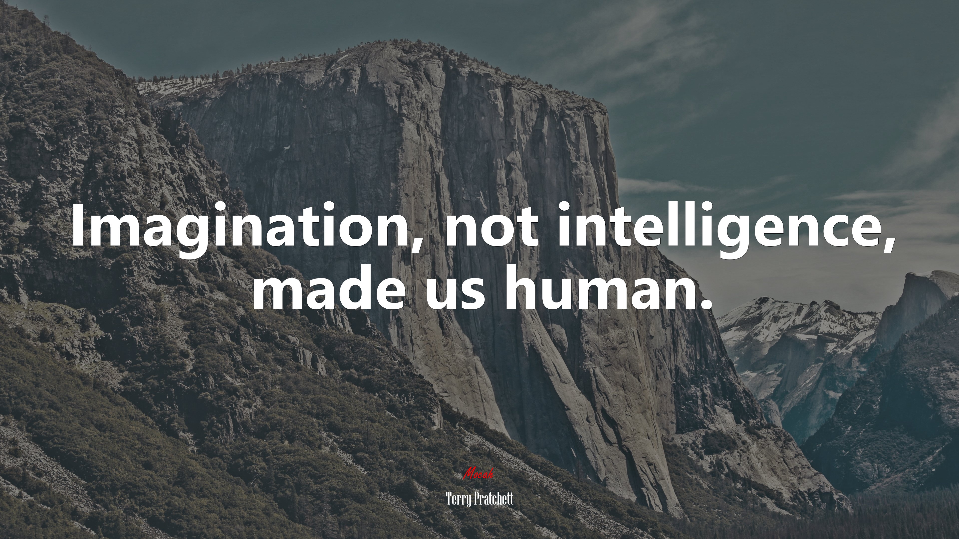 Imagination, not intelligence, made us human. | Terry Pratchett quote HD Wallpaper