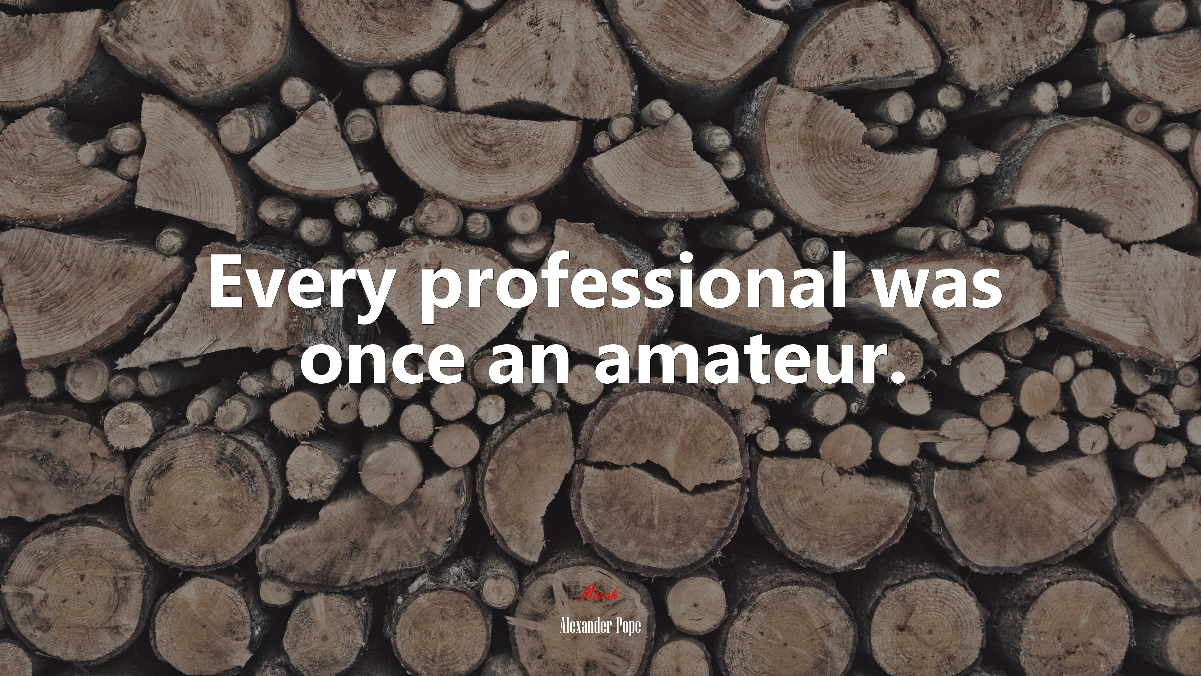 Every professional was once an amateur. | Alexander Pope quote HD Wallpaper