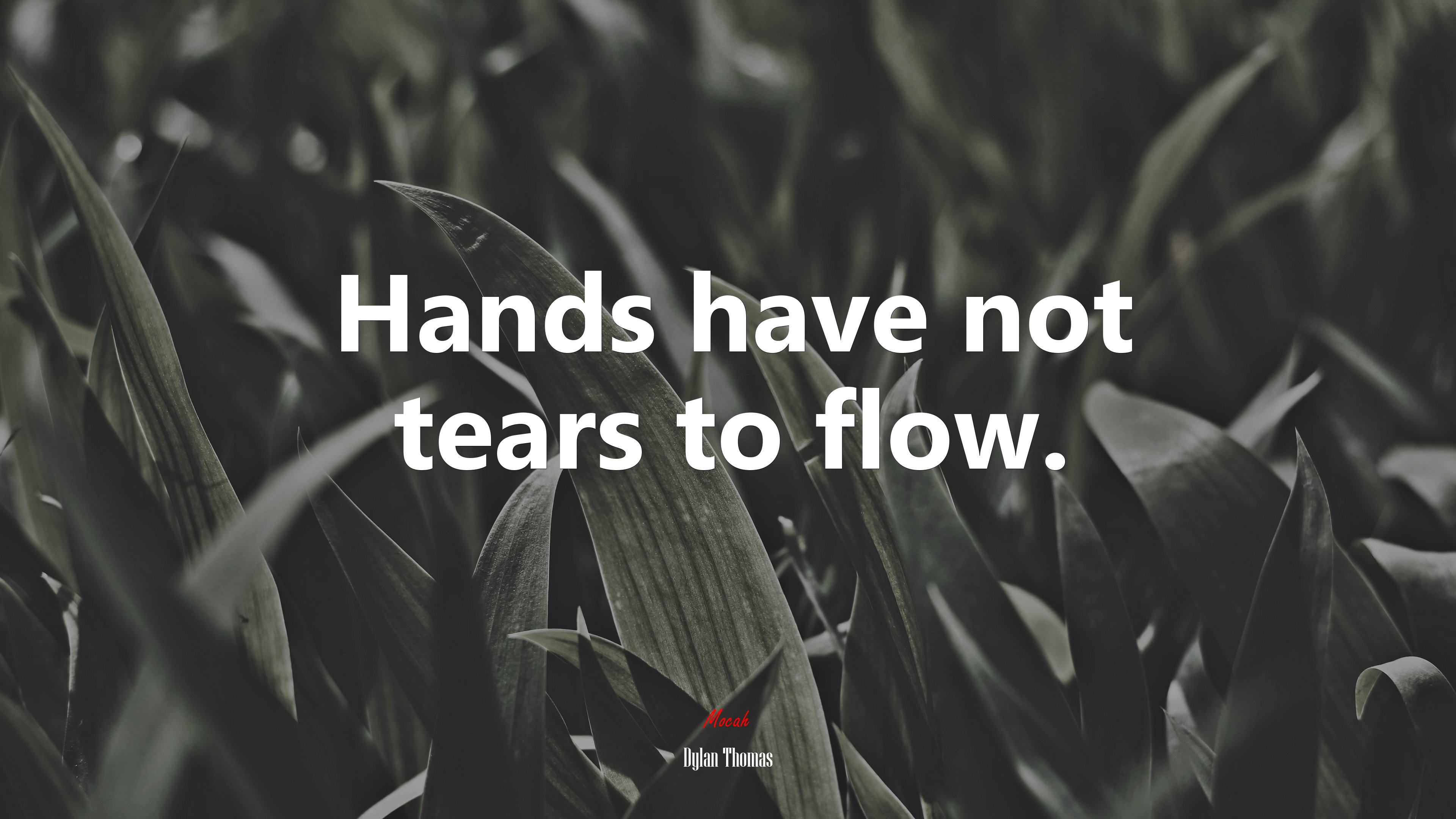 Hands have not tears to flow. | Dylan Thomas quote HD Wallpaper