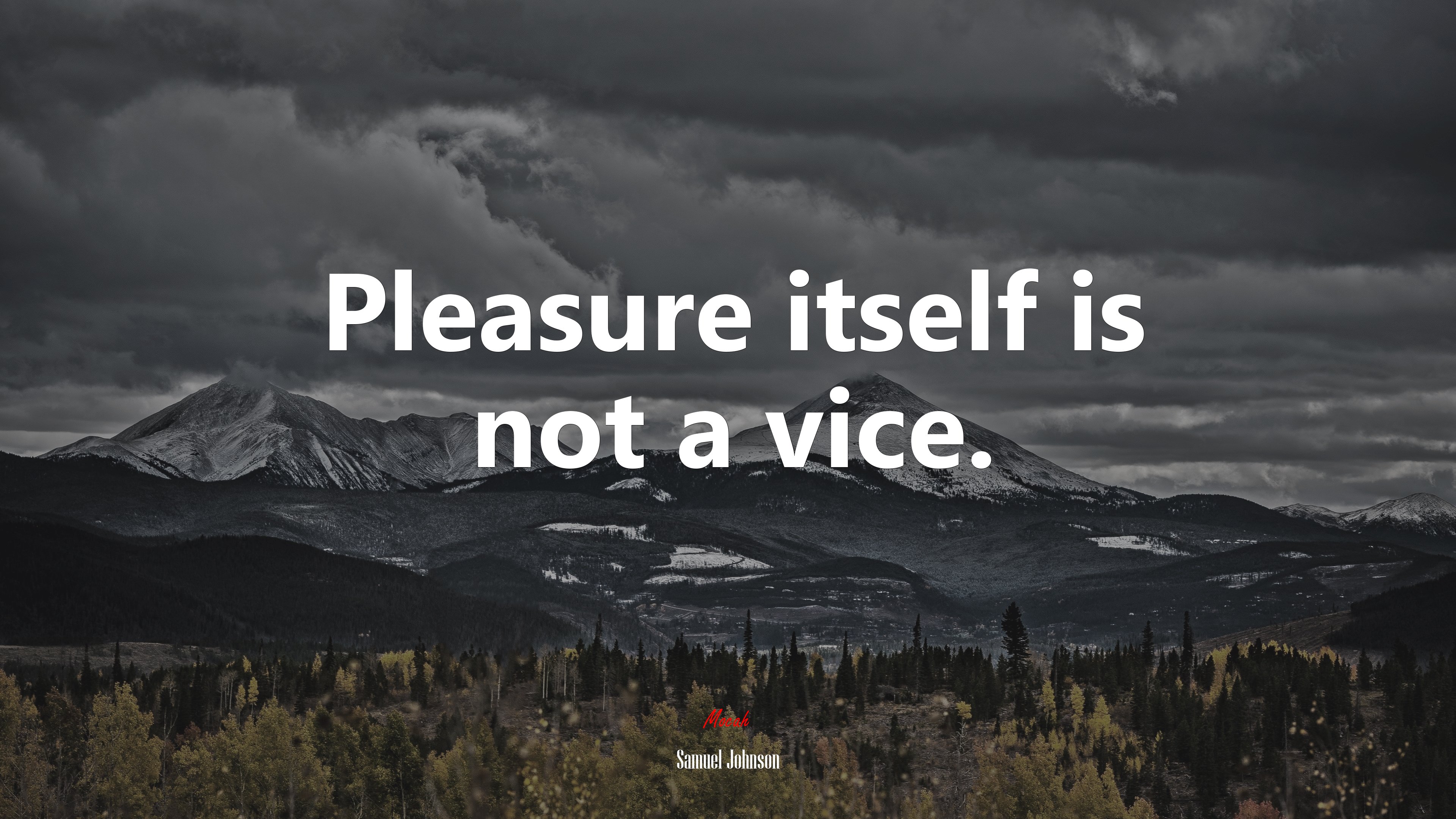 Pleasure itself is not a vice. | Samuel Johnson quote HD Wallpaper