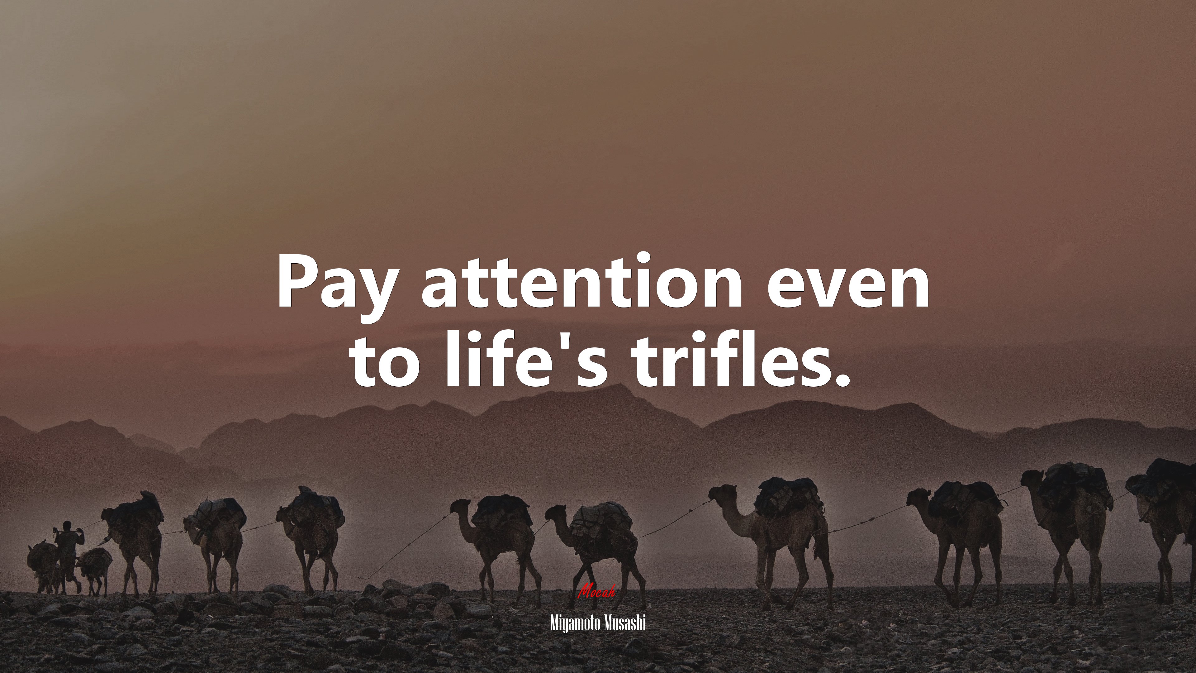 Pay attention even to life’s trifles. | Miyamoto Musashi quote HD Wallpaper