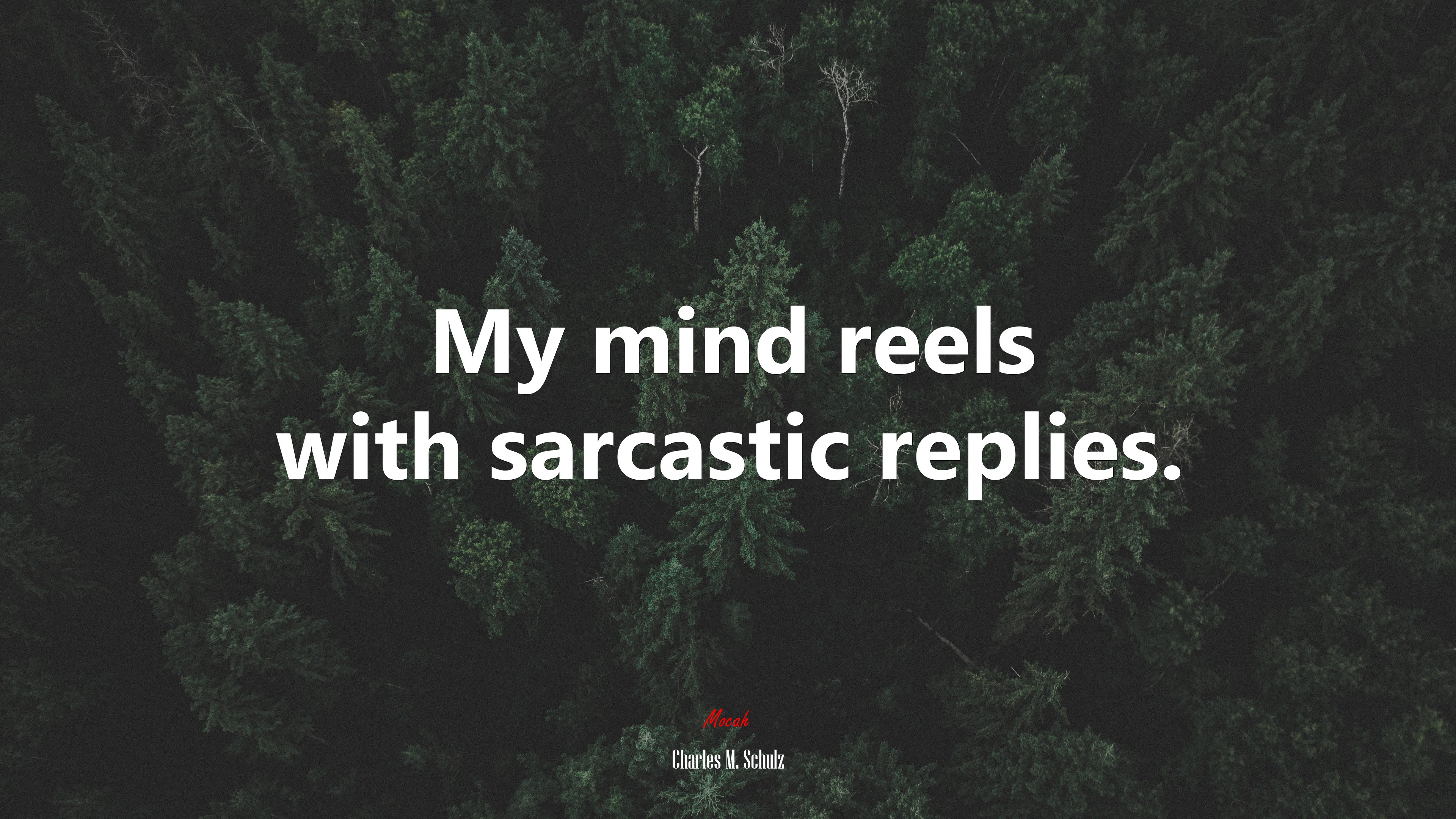 My mind reels with sarcastic replies. | Charles M. Schulz quote HD Wallpaper