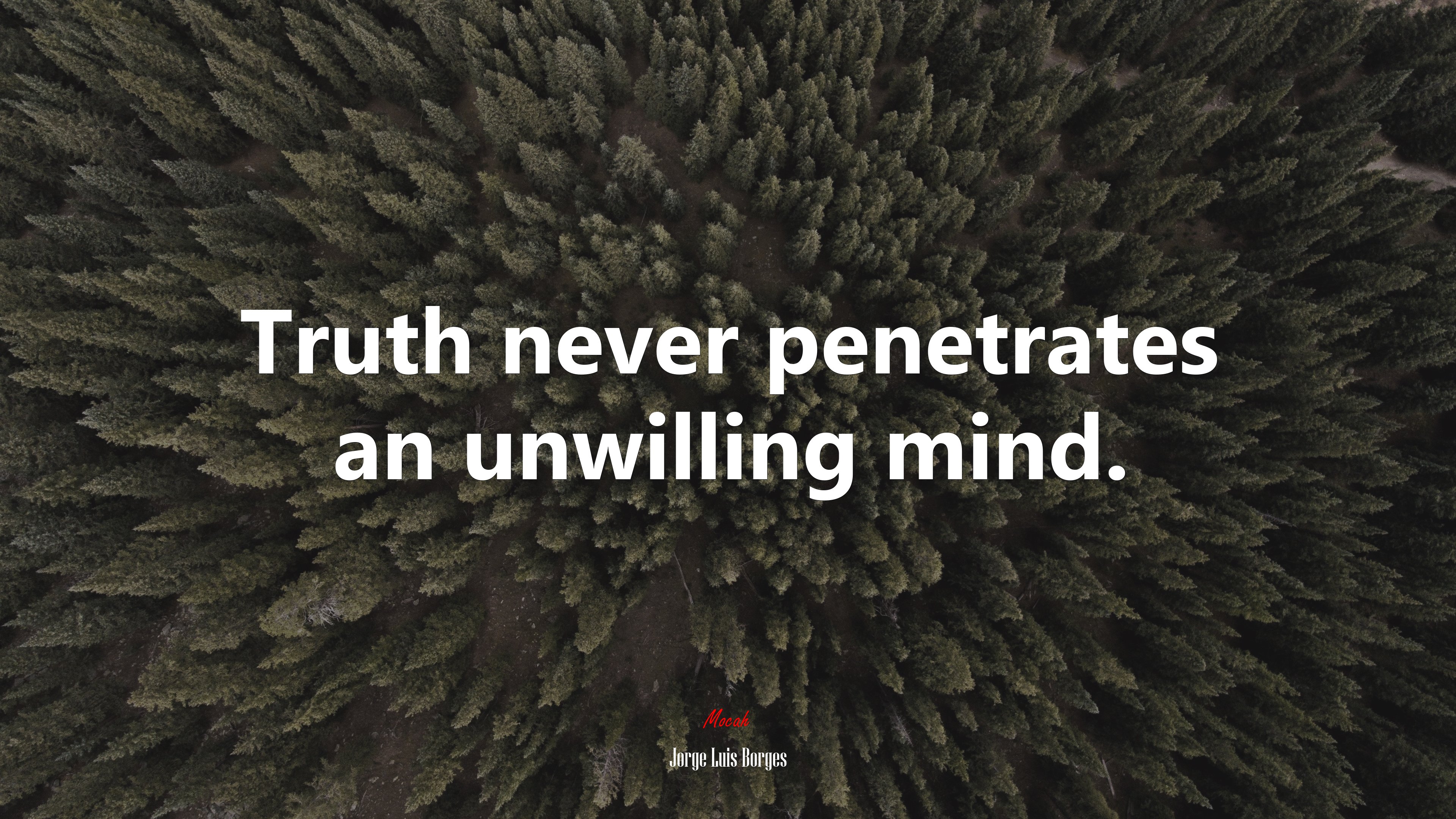 Truth never penetrates an unwilling mind. | Jorge Luis Borges quote HD Wallpaper