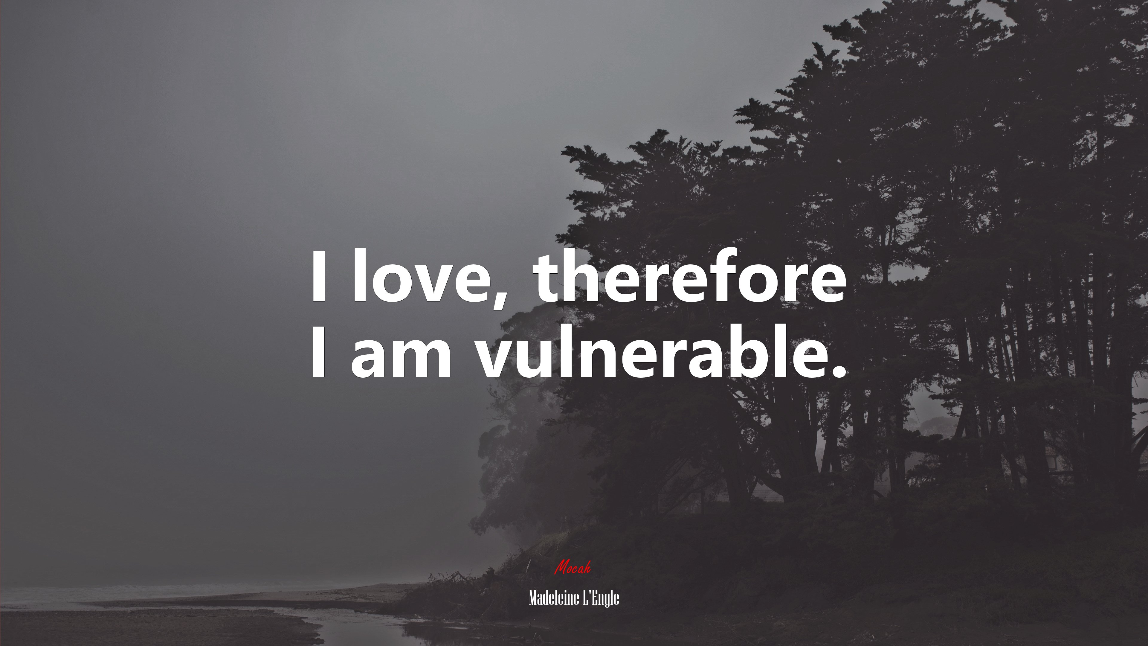 I love, therefore I am vulnerable. | Madeleine LEngle quote HD Wallpaper