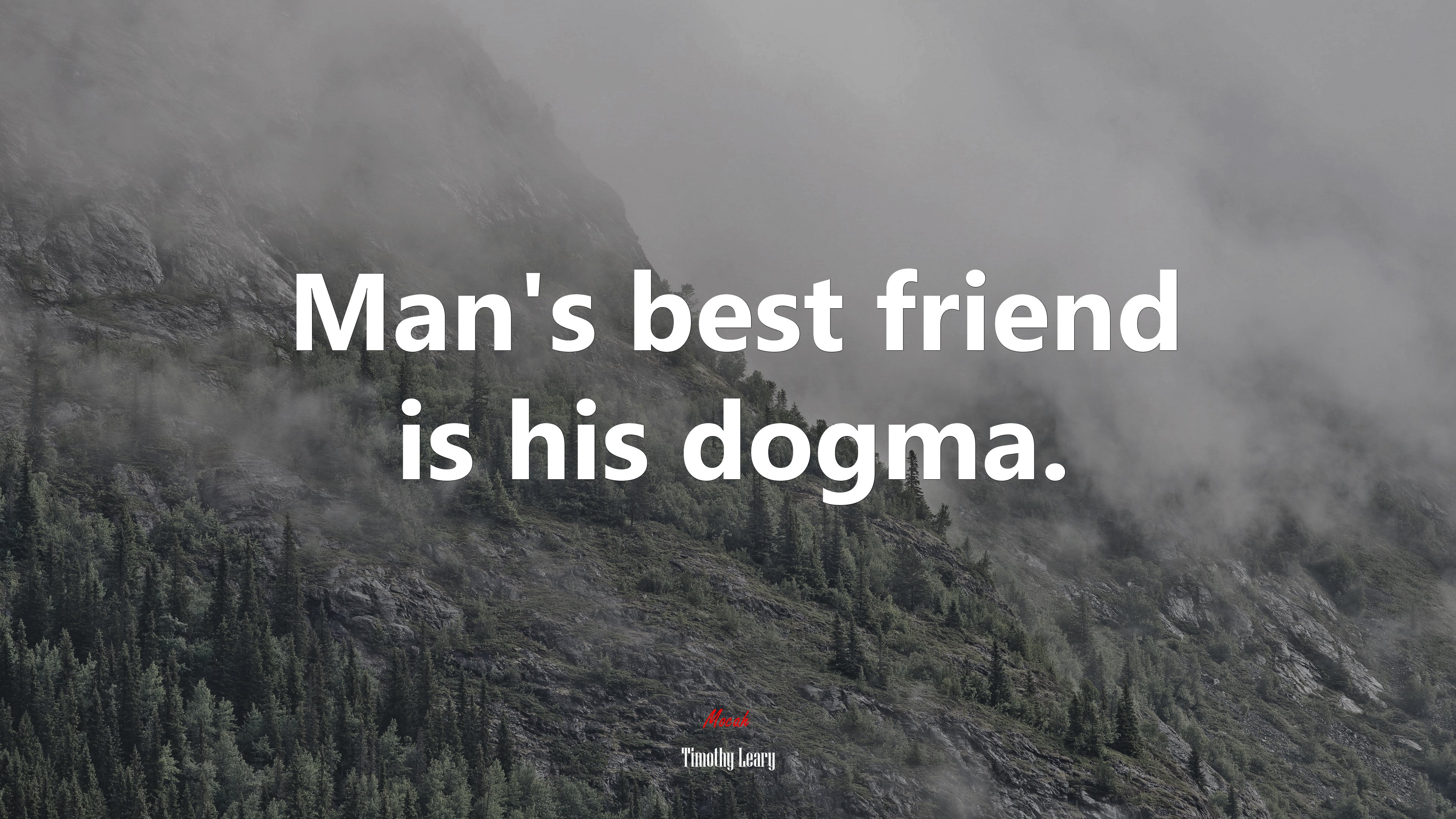 Man’s best friend is his dogma. | Timothy Leary quote HD Wallpaper