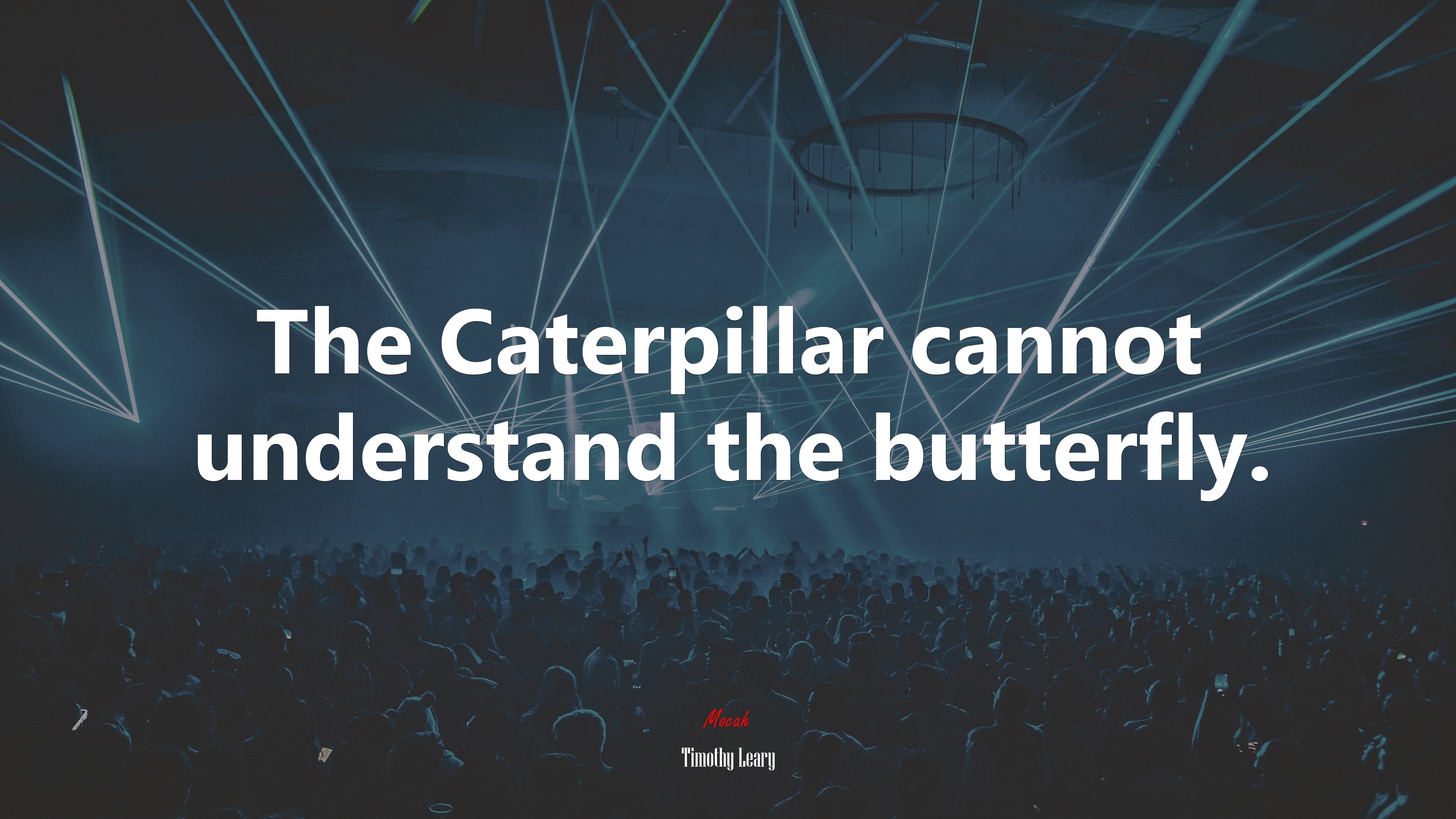 The Caterpillar cannot understand the butterfly. | Timothy Leary quote HD Wallpaper