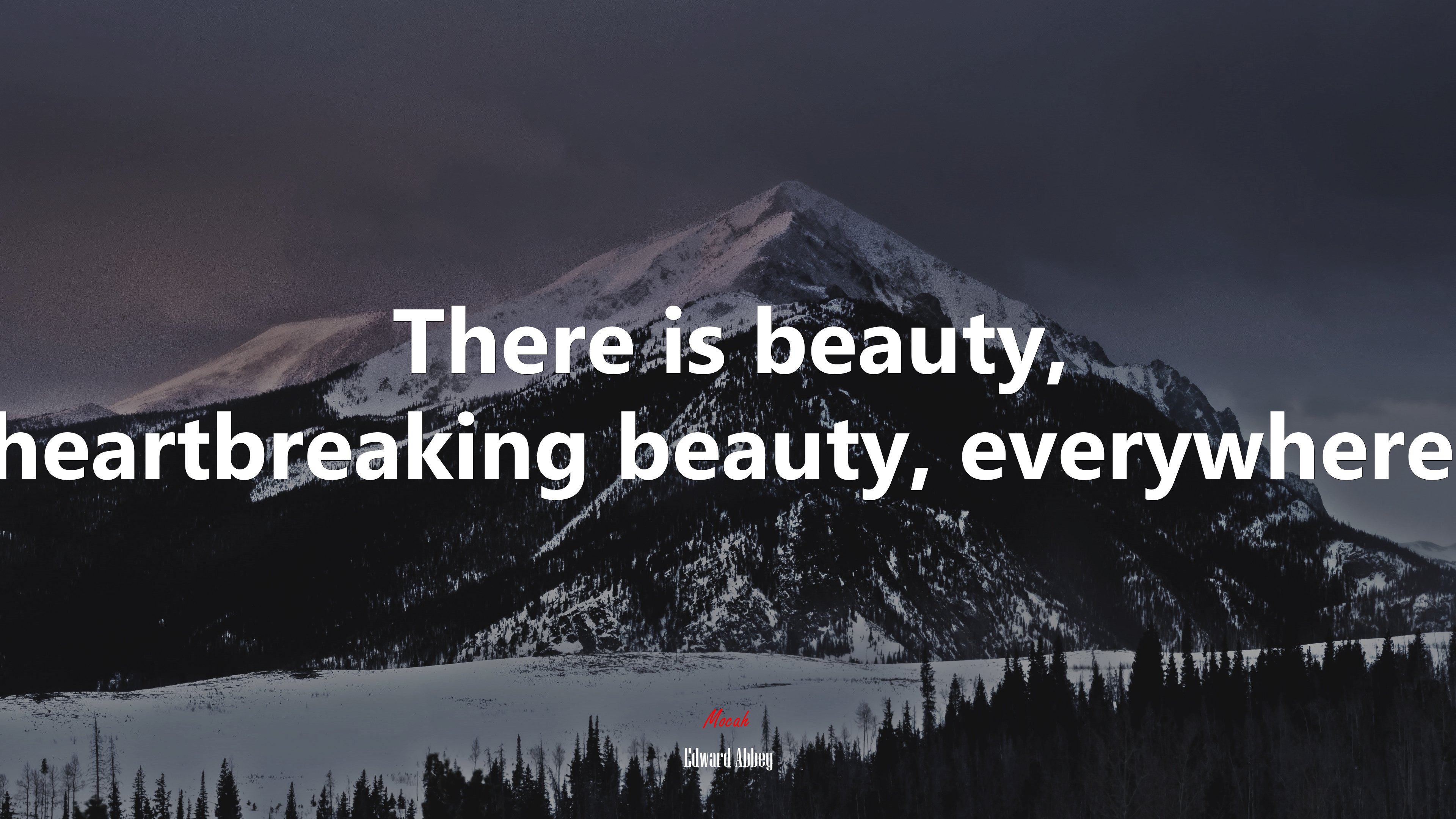 There is beauty, heartbreaking beauty, everywhere. | Edward Abbey quote HD Wallpaper