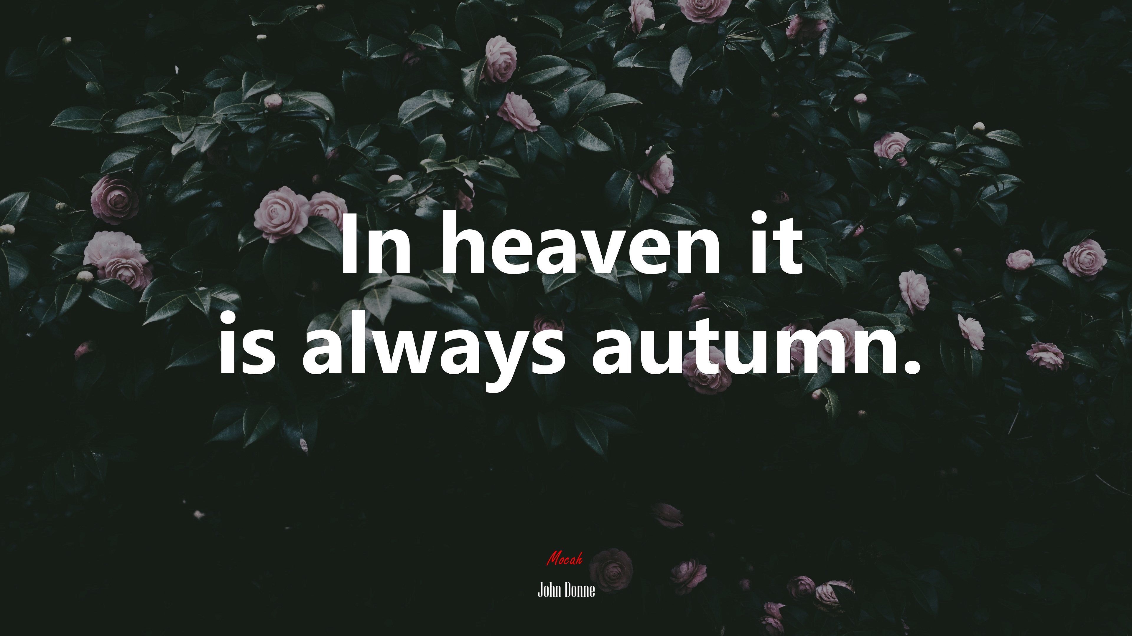 In heaven it is always autumn. | John Donne quote HD Wallpaper